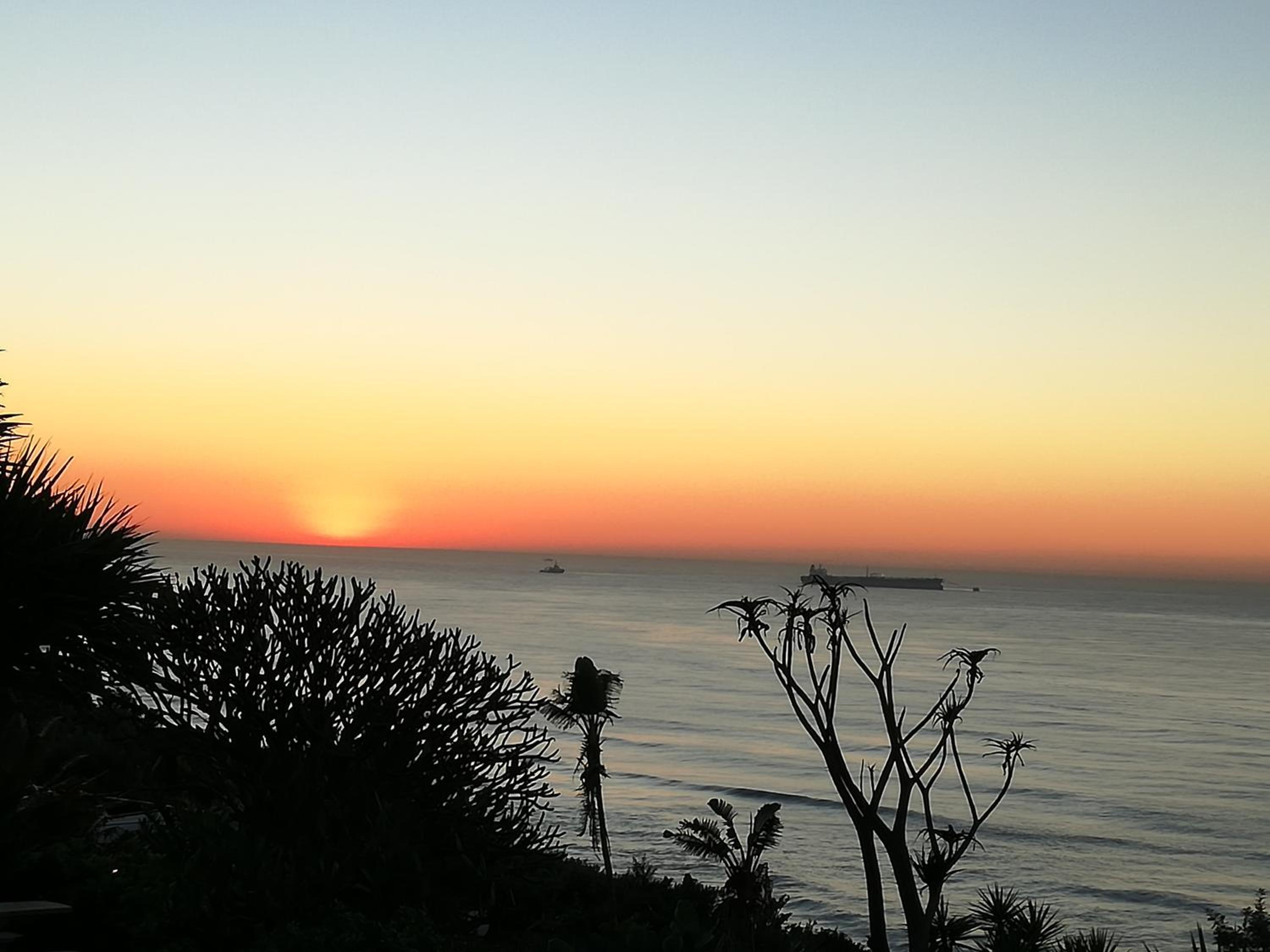 Dolphin Point B&B