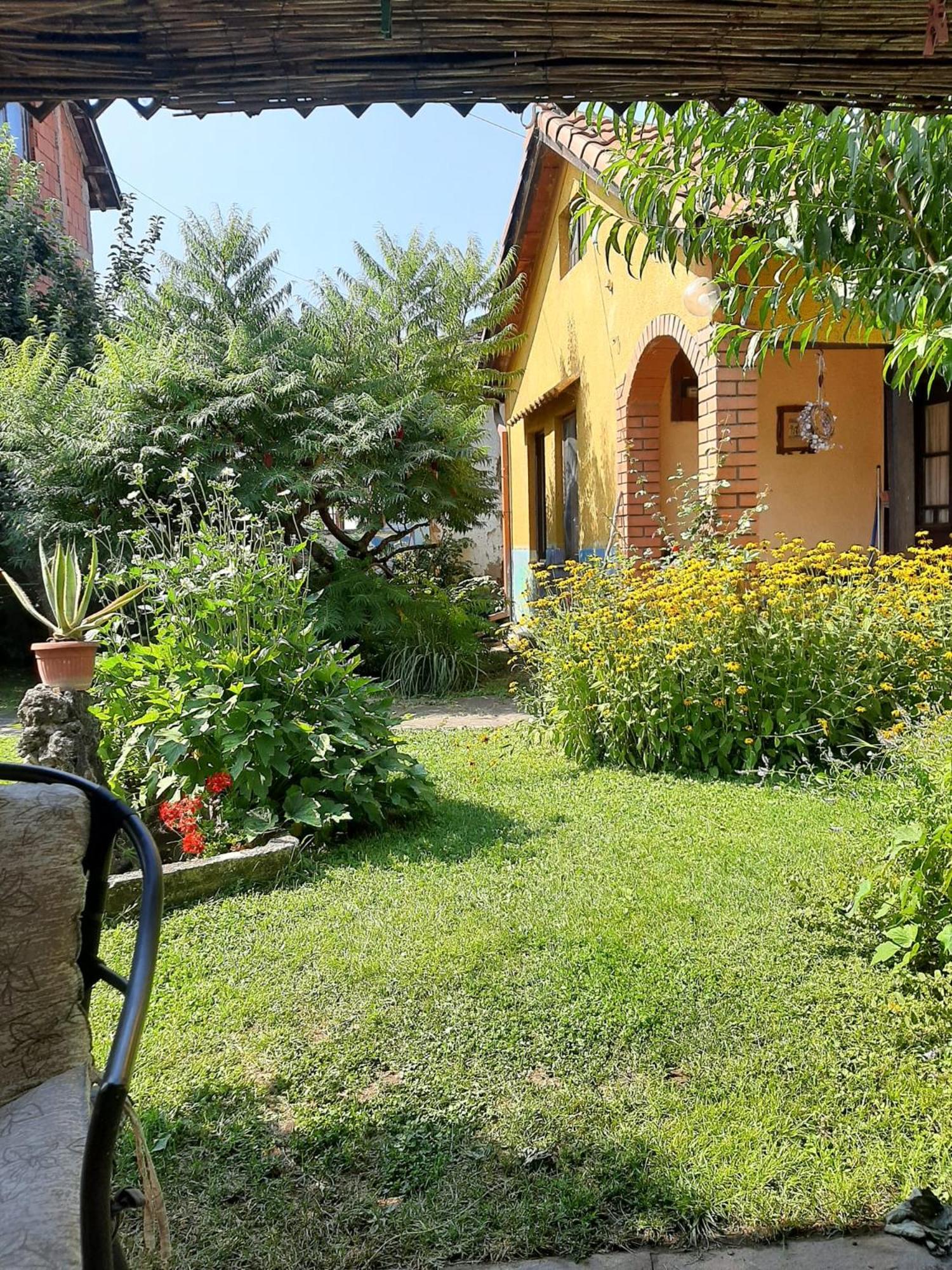 Photo 26