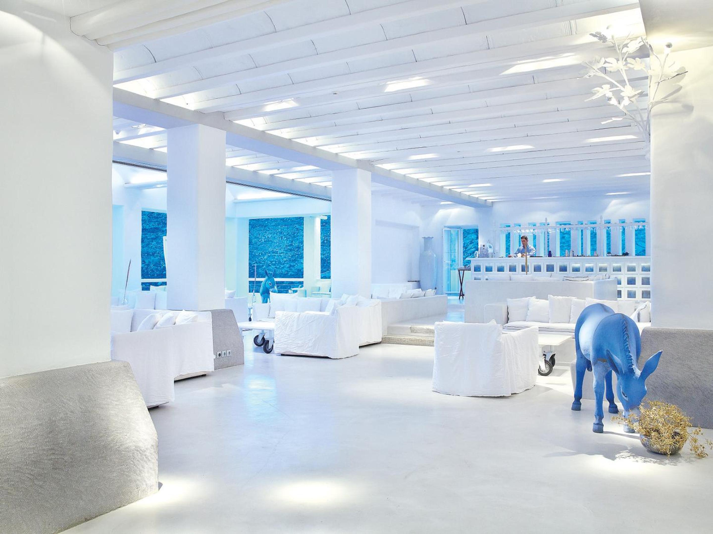 recepcion & lobby