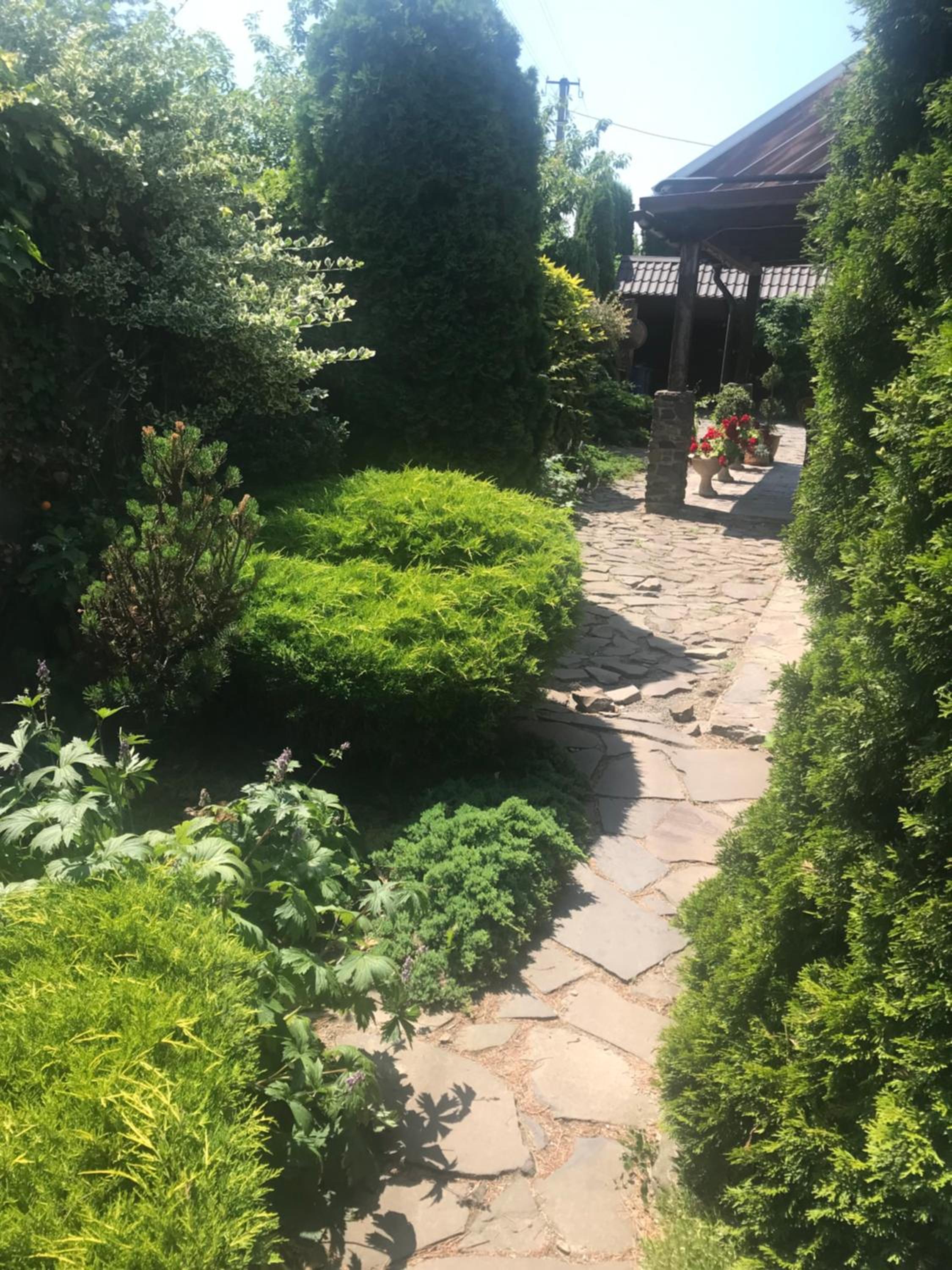Photo 26