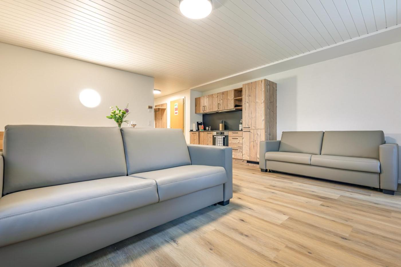 Kehr Apartment - Aare Jungfrau AG view 4