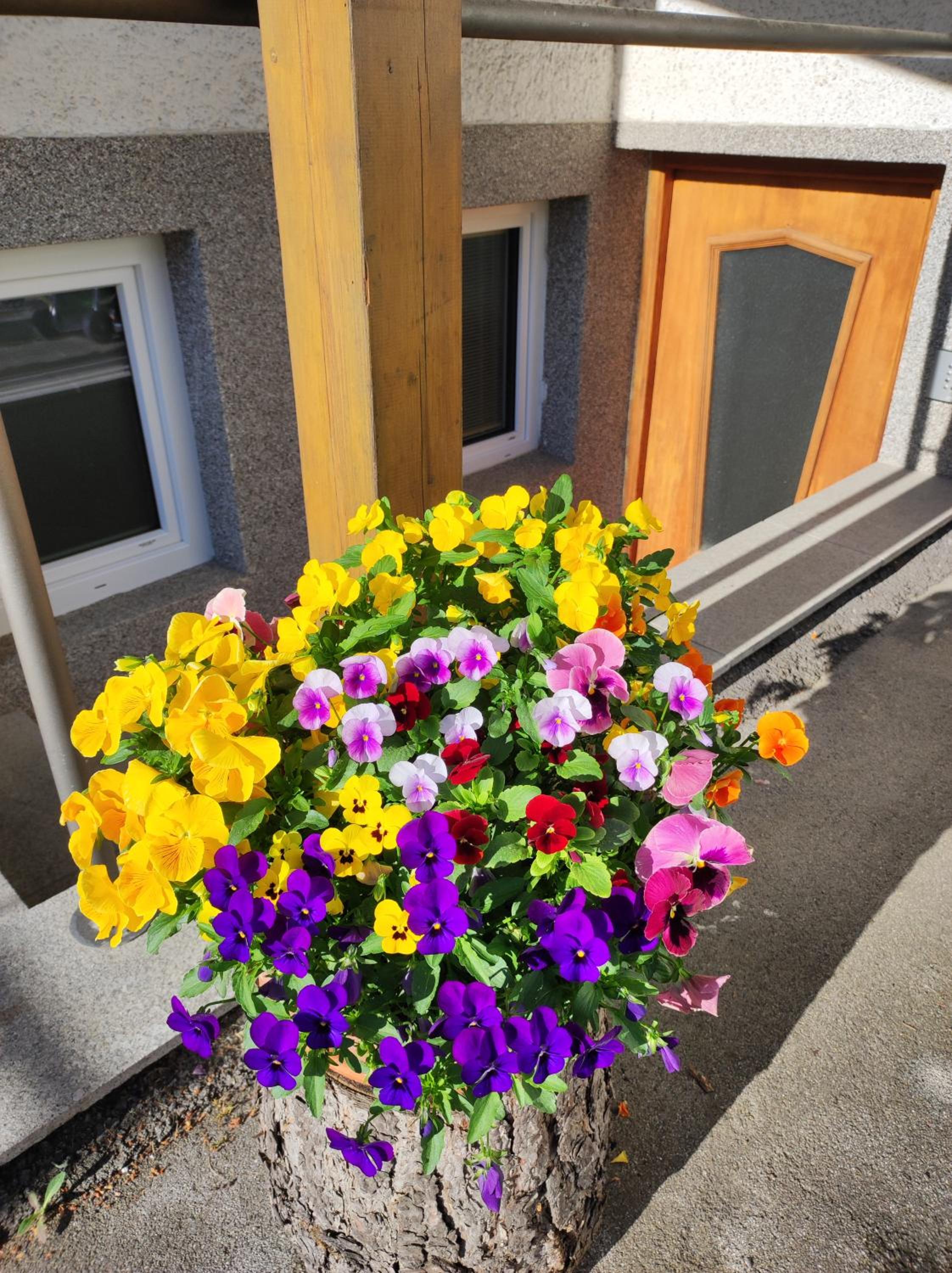 Pension Alpina Neustift