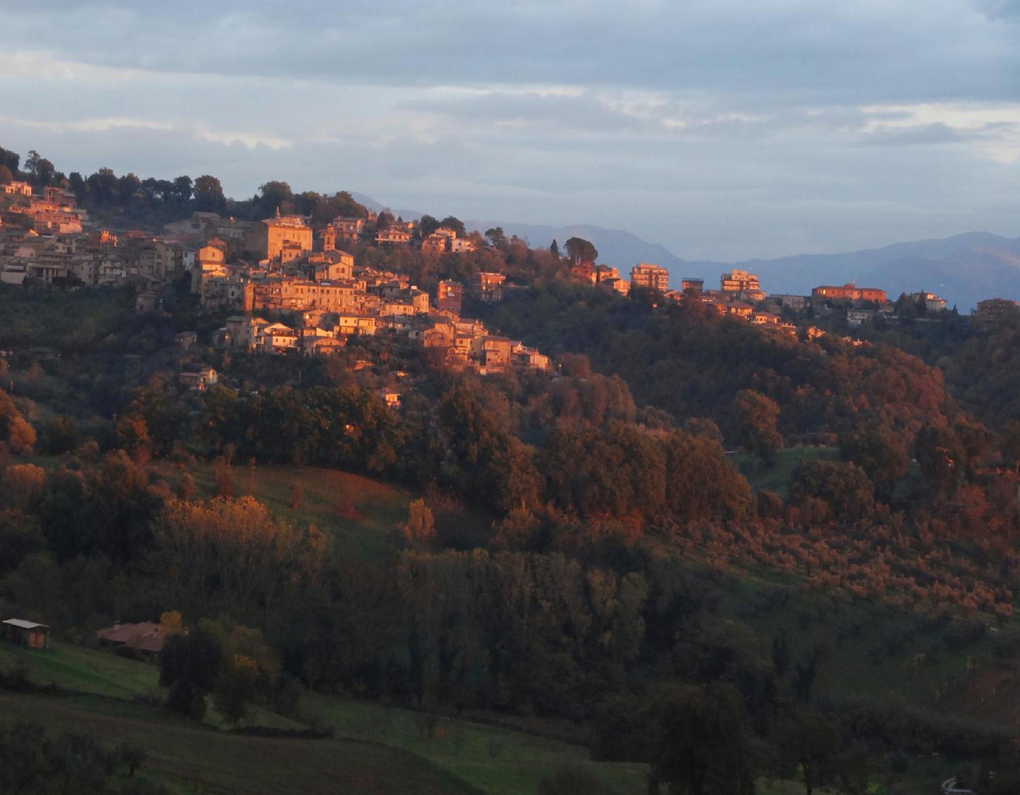 La casa Nettarina