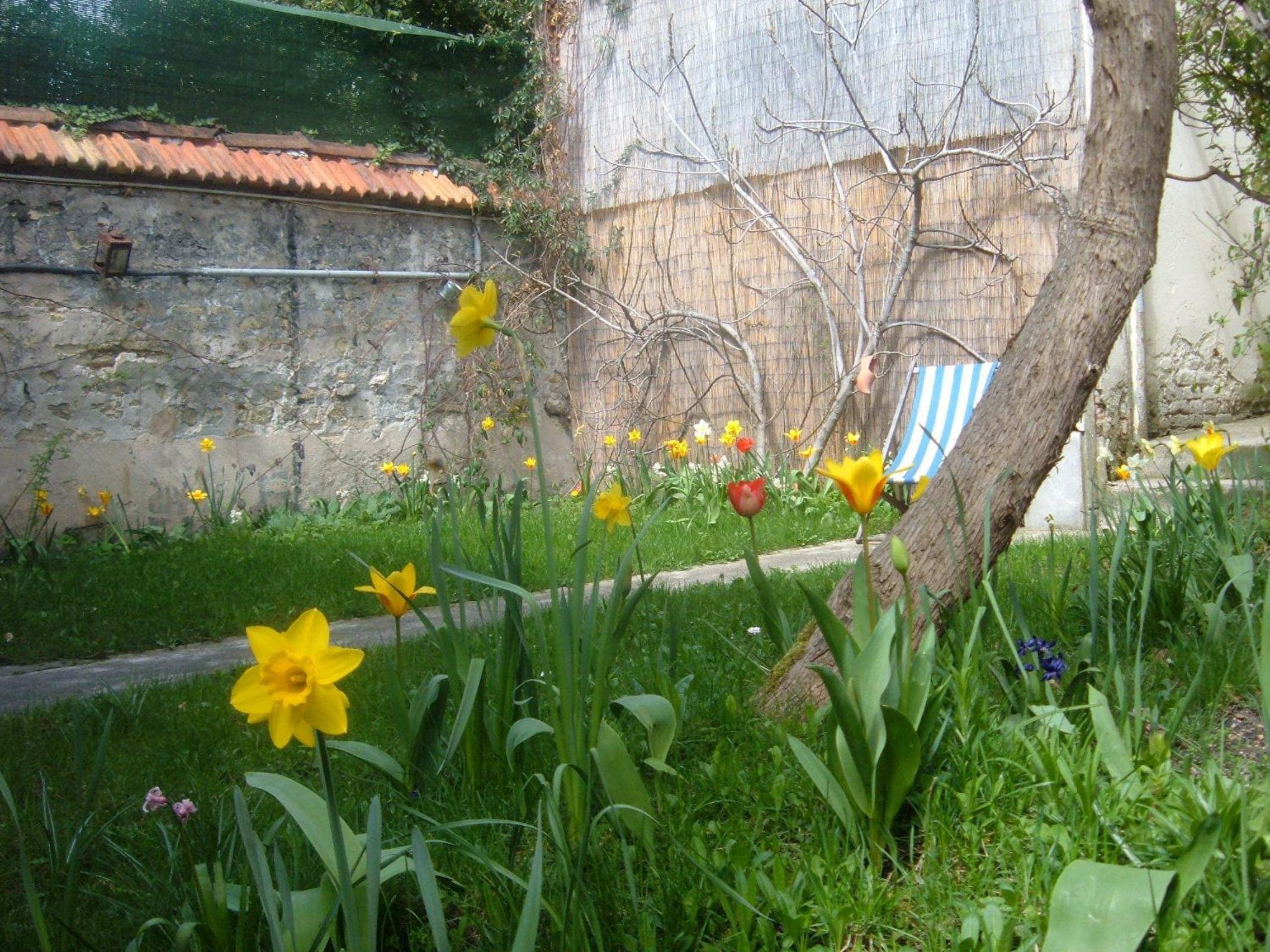 Photo 17