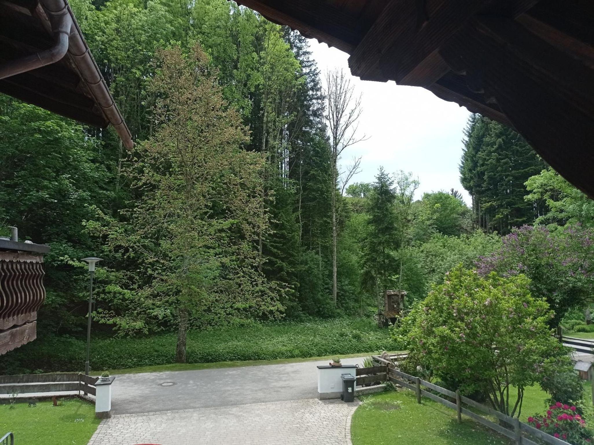 Ferienwohnung Moser Brunhilde