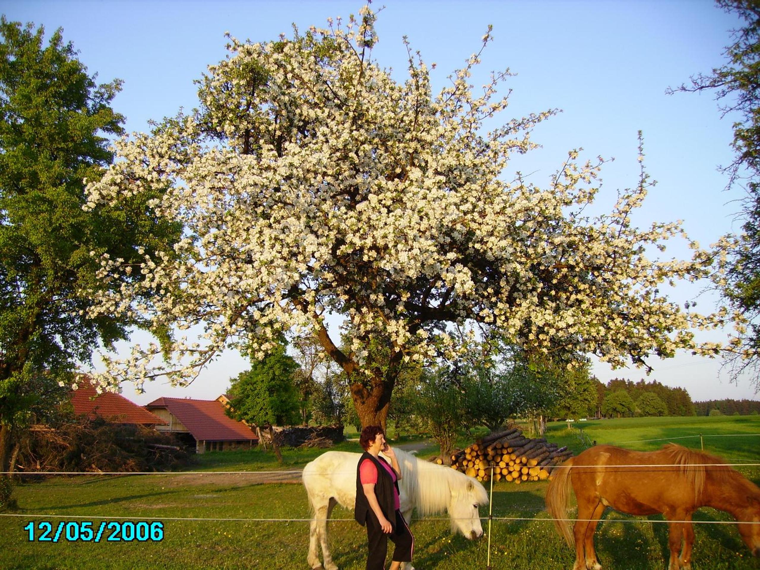 Gestehof Hetzenberg