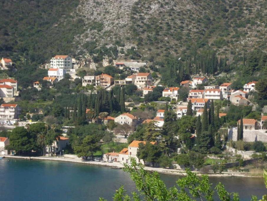 Apartmani ljuta naranča view 2