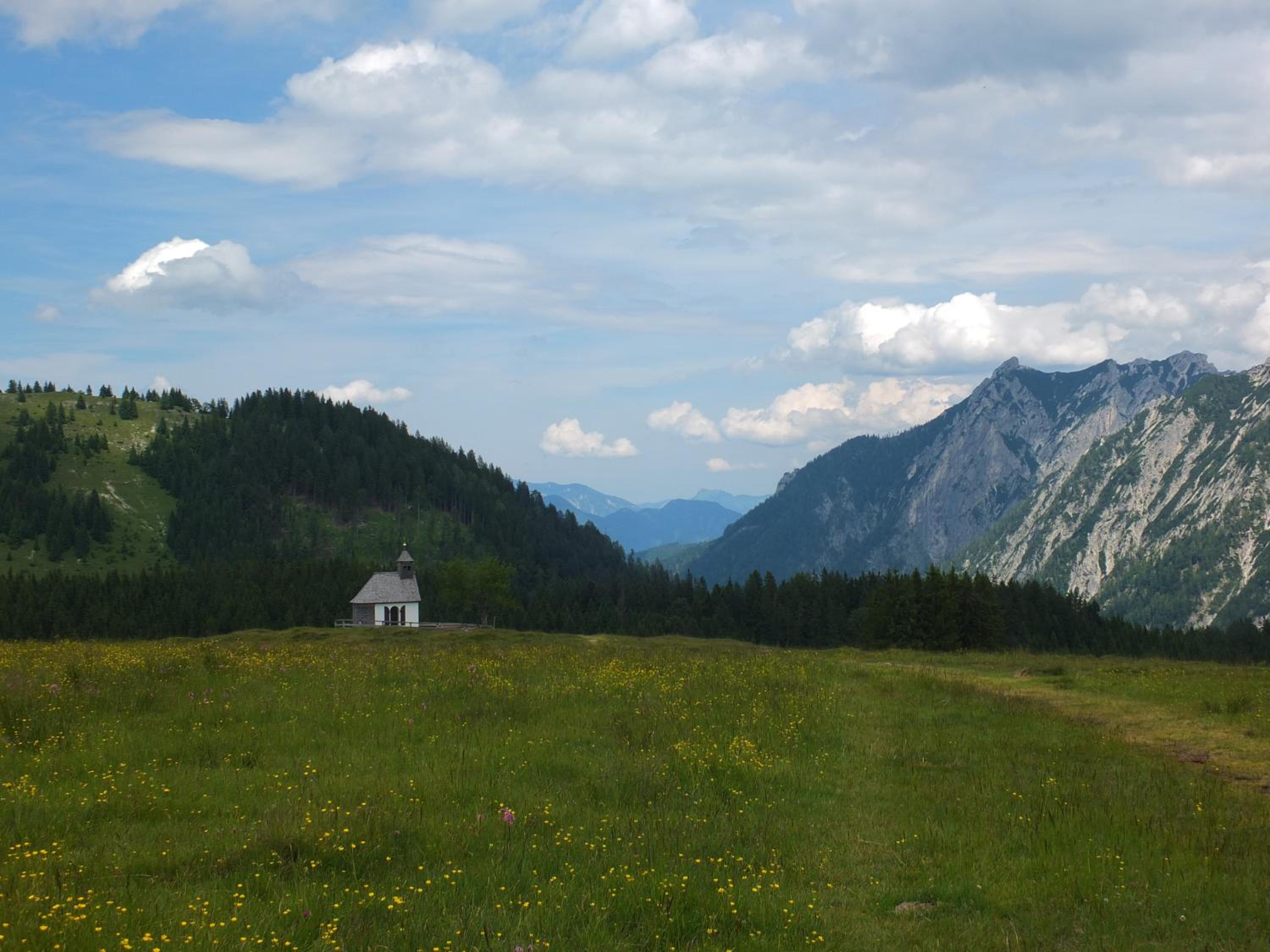Photo 33