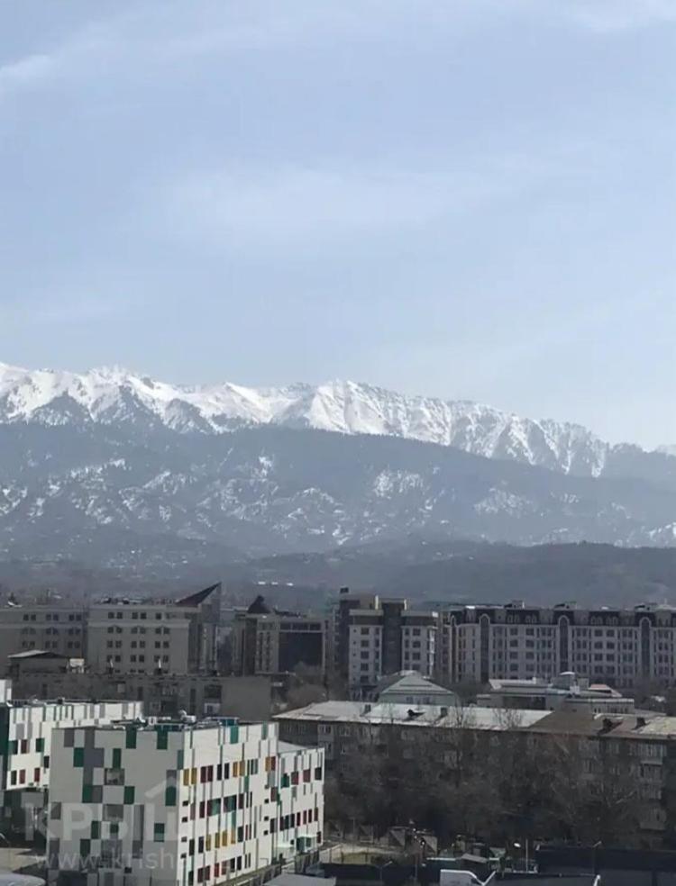 ЖК Satty view 5