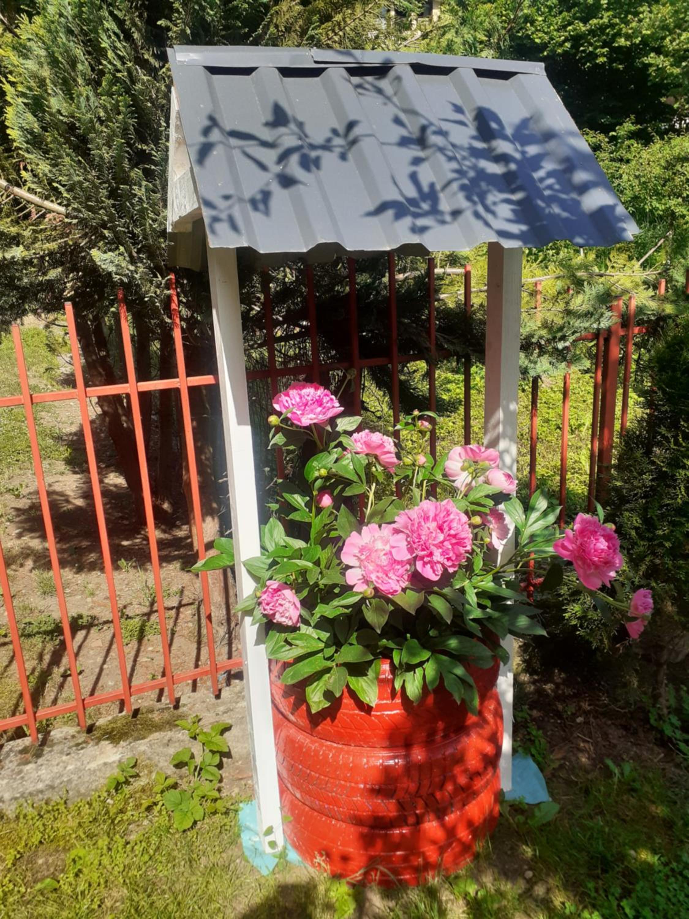Photo 18