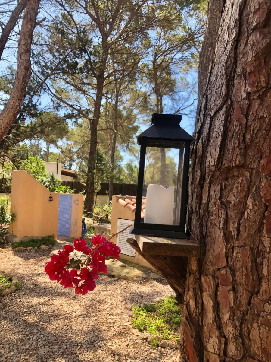 Apartamento Sa Ginebra, Cala Saona — photo 5