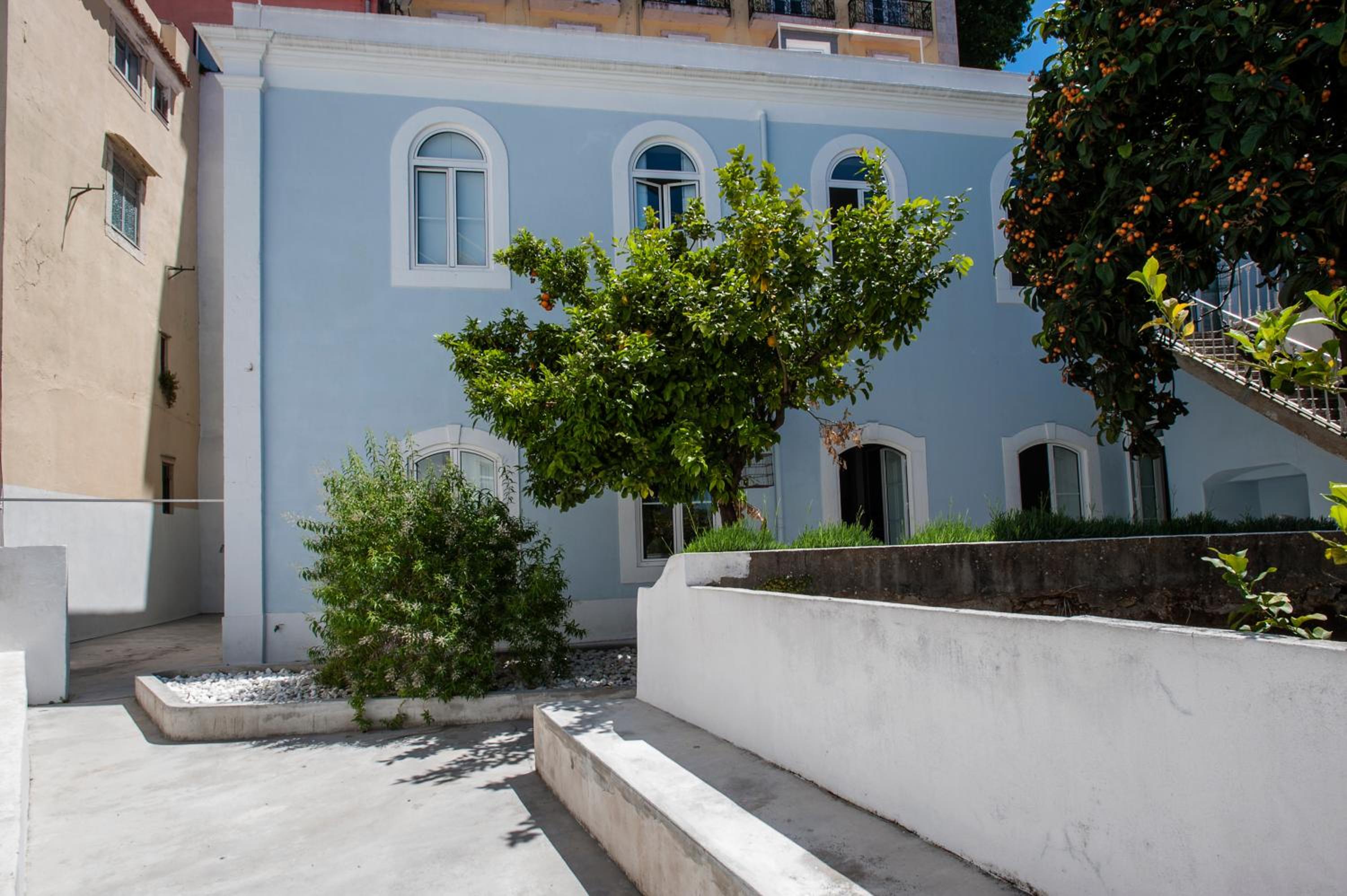 Photo 42