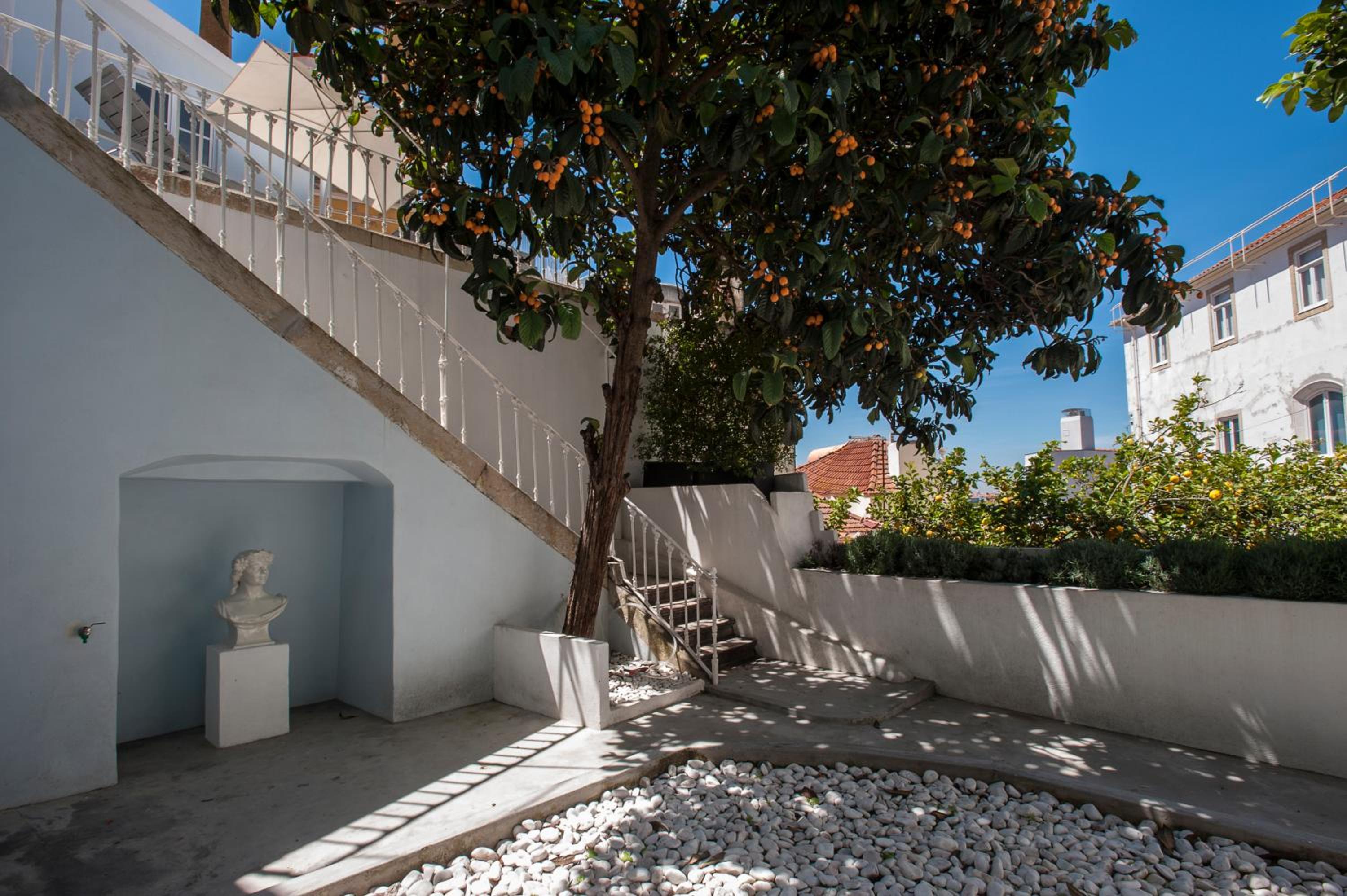 Photo 32