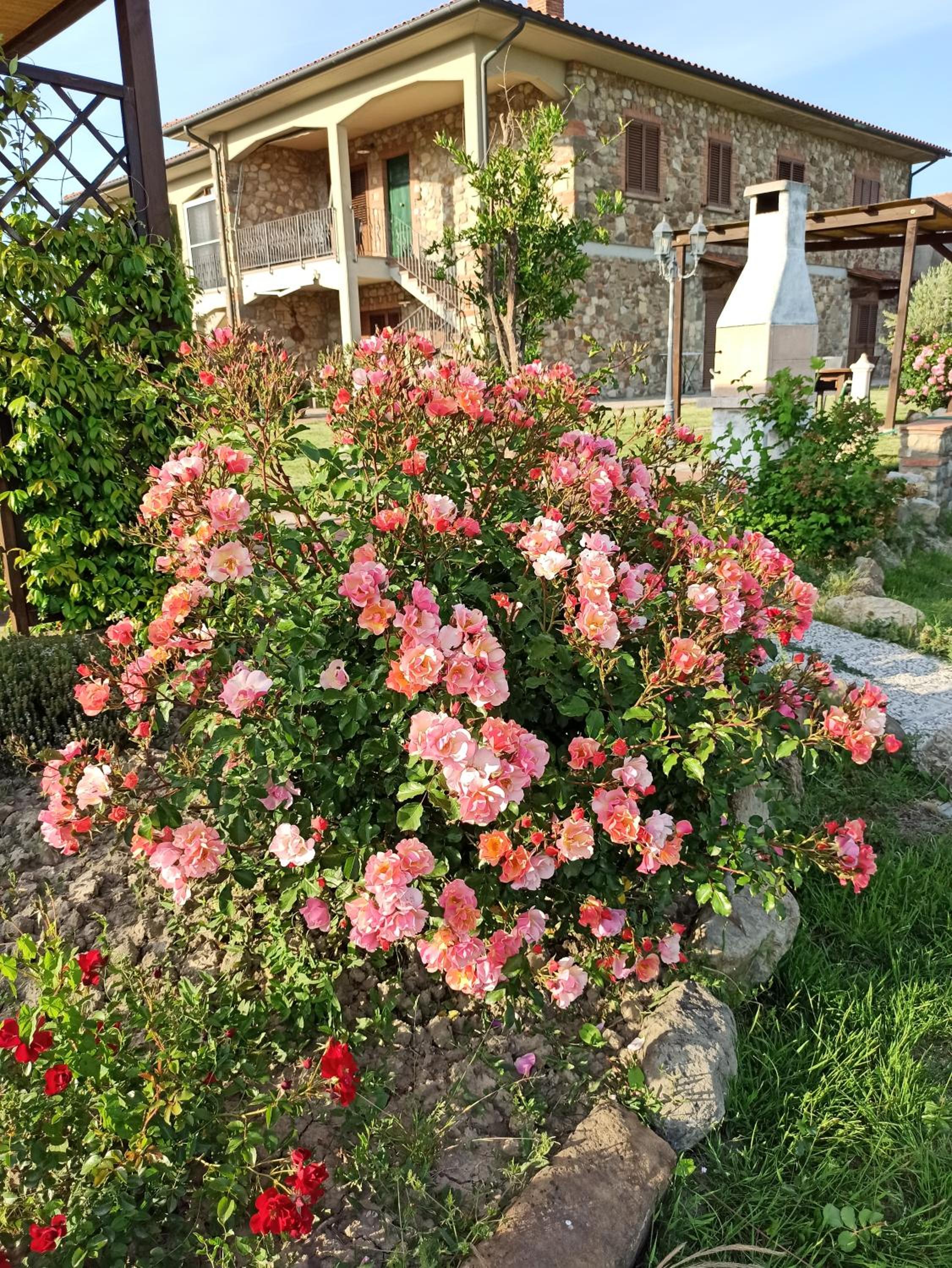 Agriturismo La Spiga