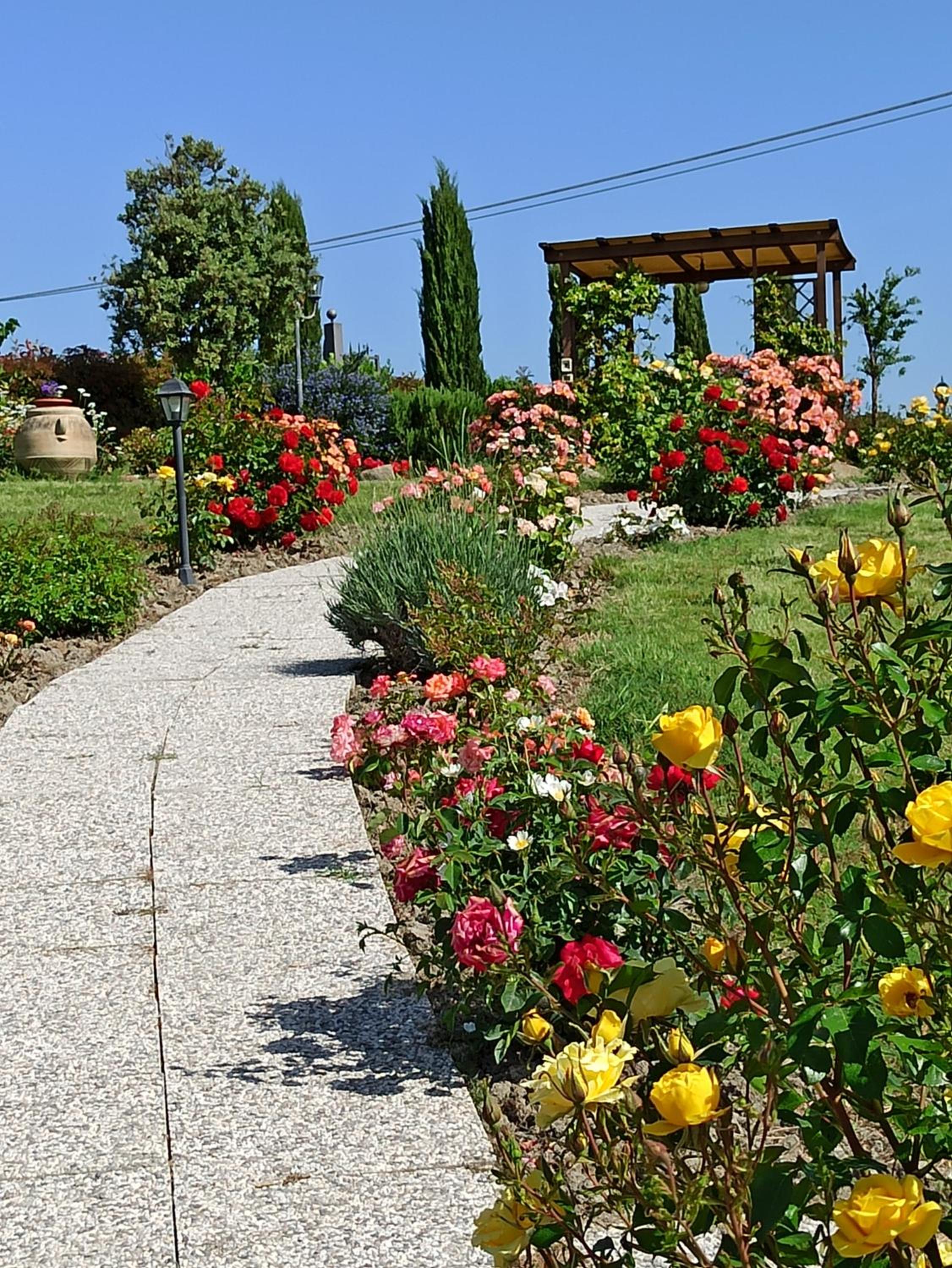Agriturismo La Spiga