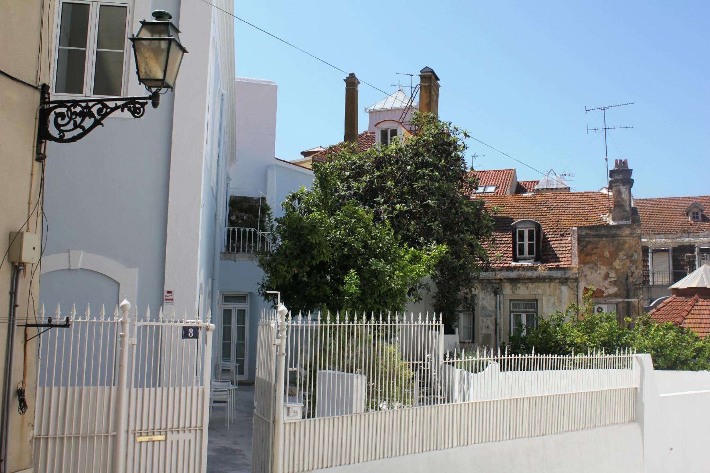 Photo 41