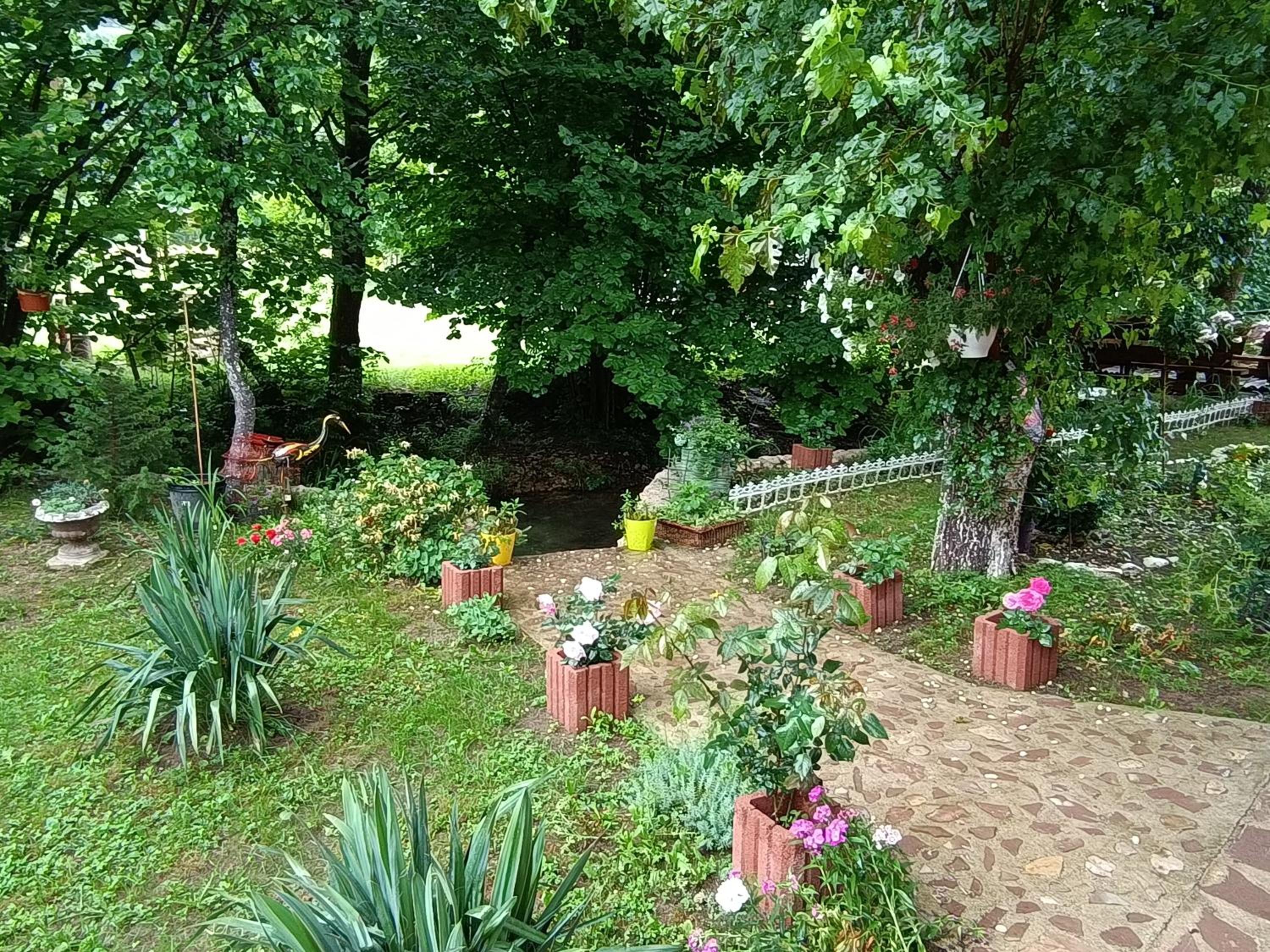 Live Nature
