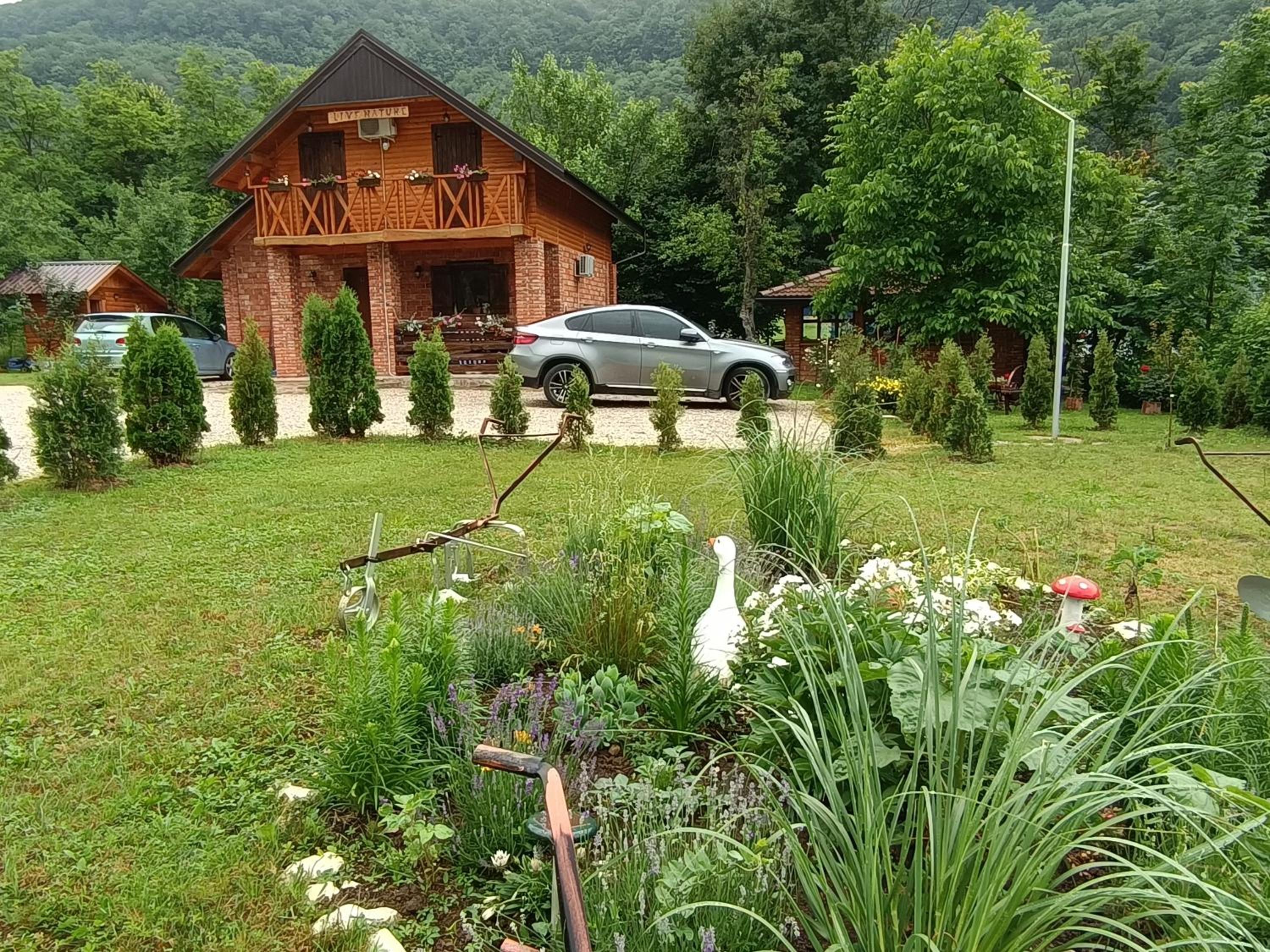 Live Nature