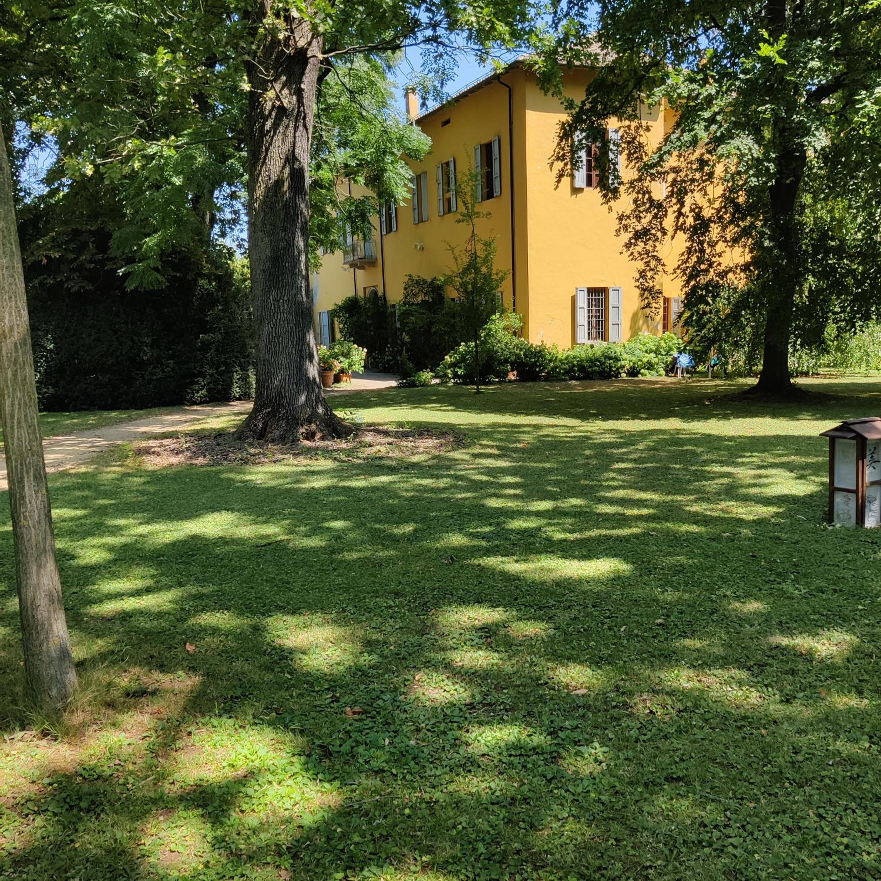 Photo 43