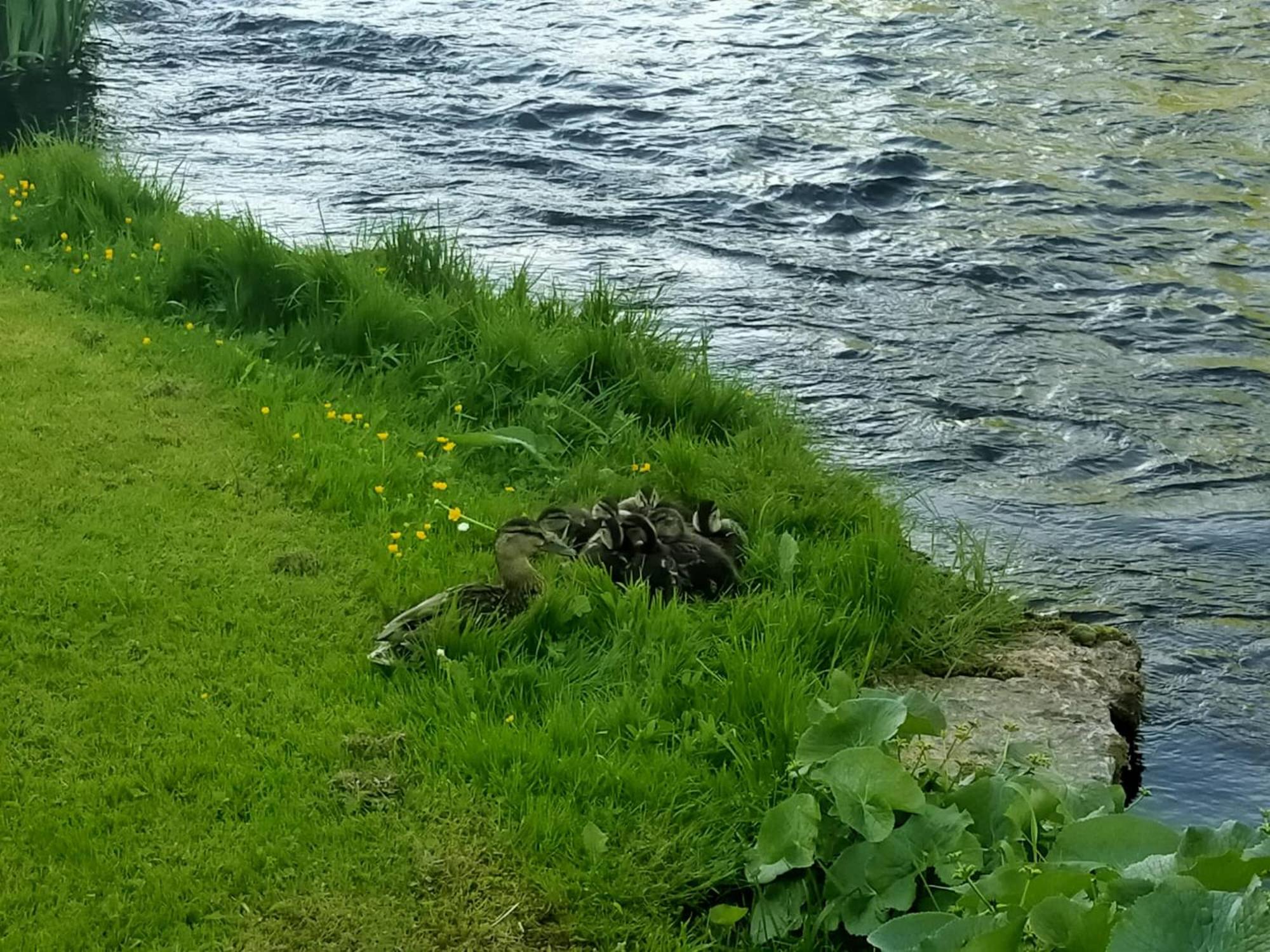 Photo 33