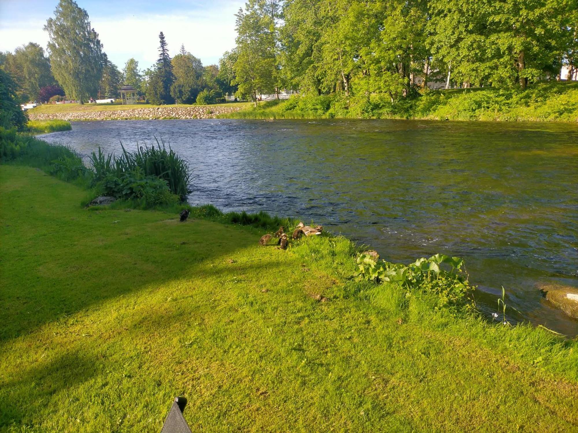 Photo 29