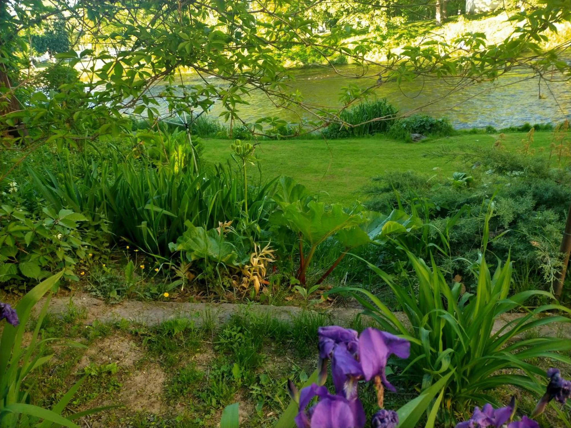 Photo 33