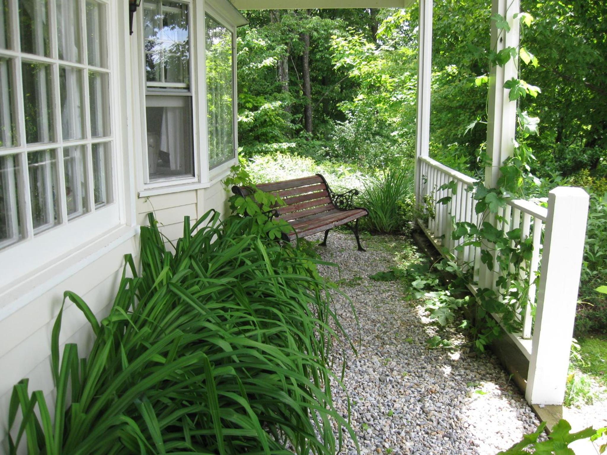 Photo 11