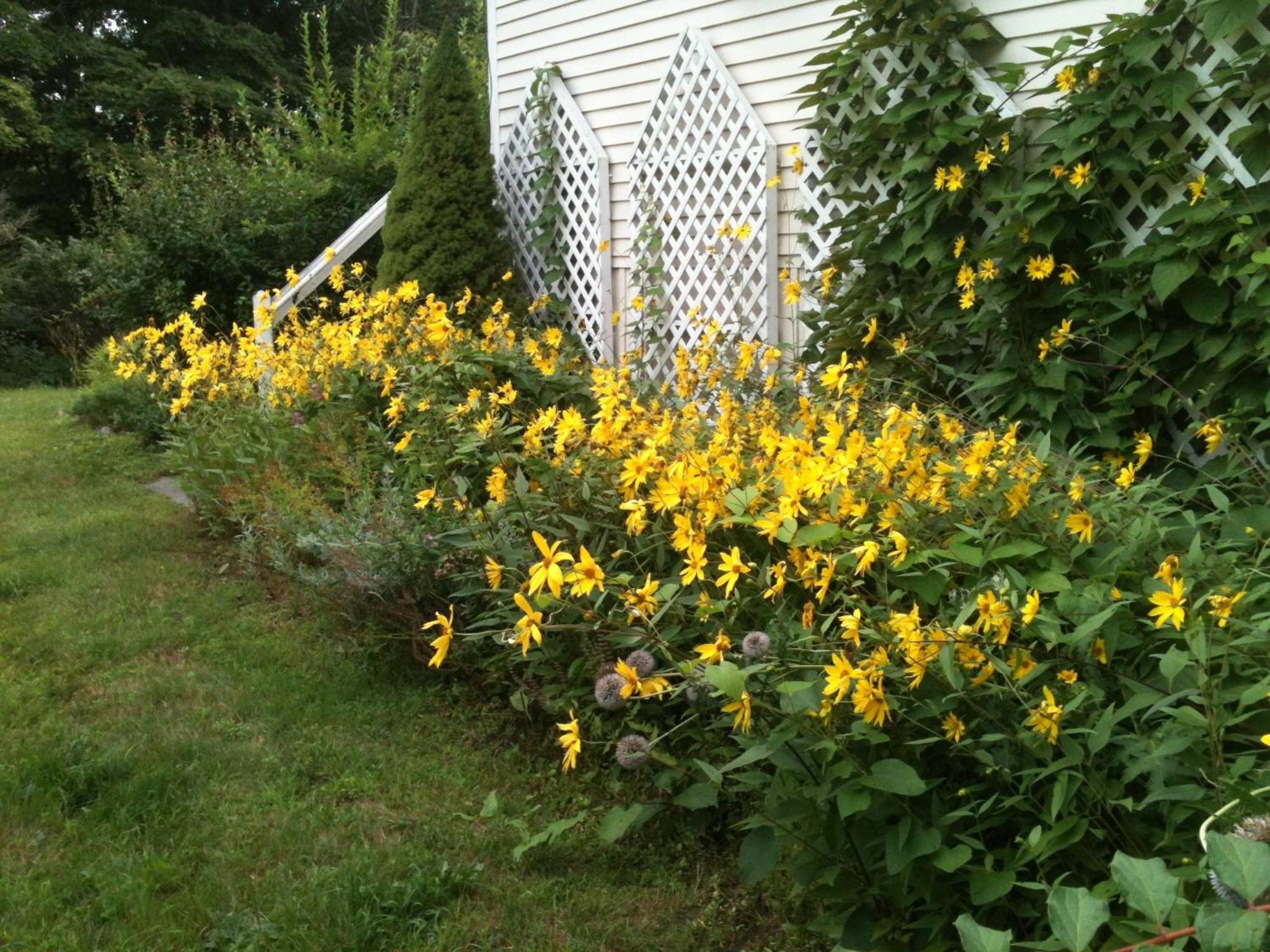 Photo 20