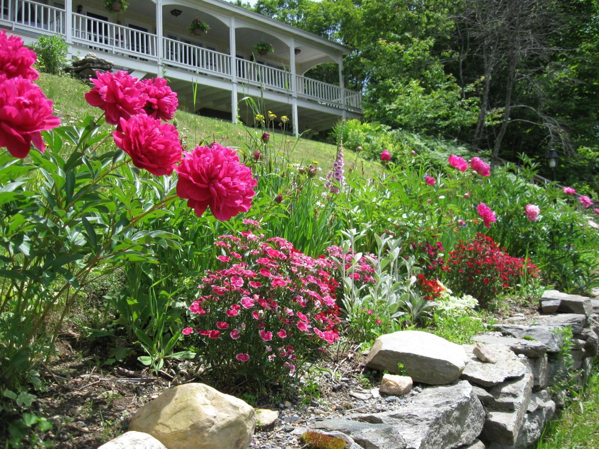 Photo 22
