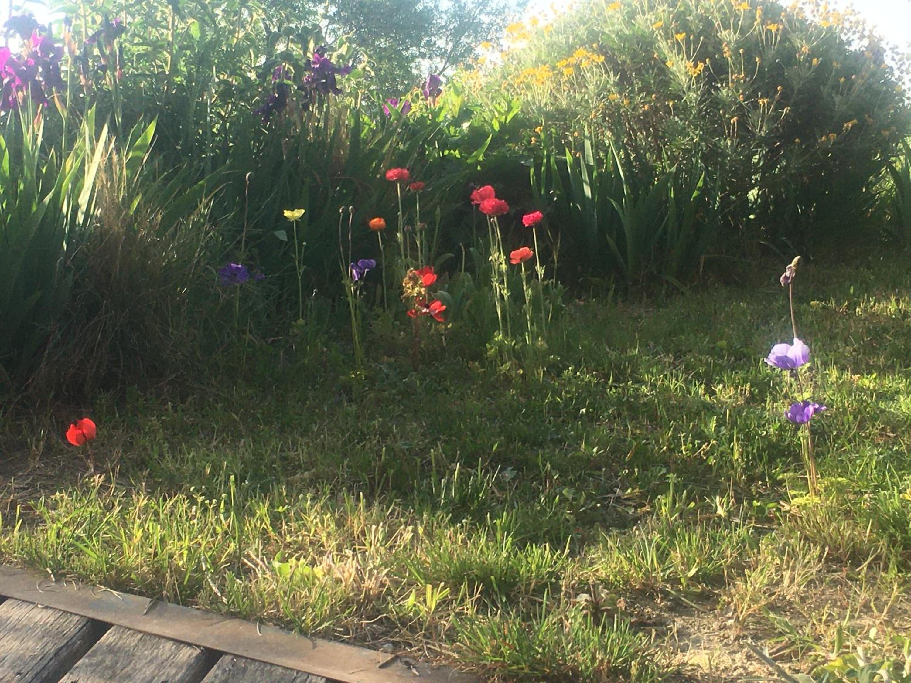 Photo 24