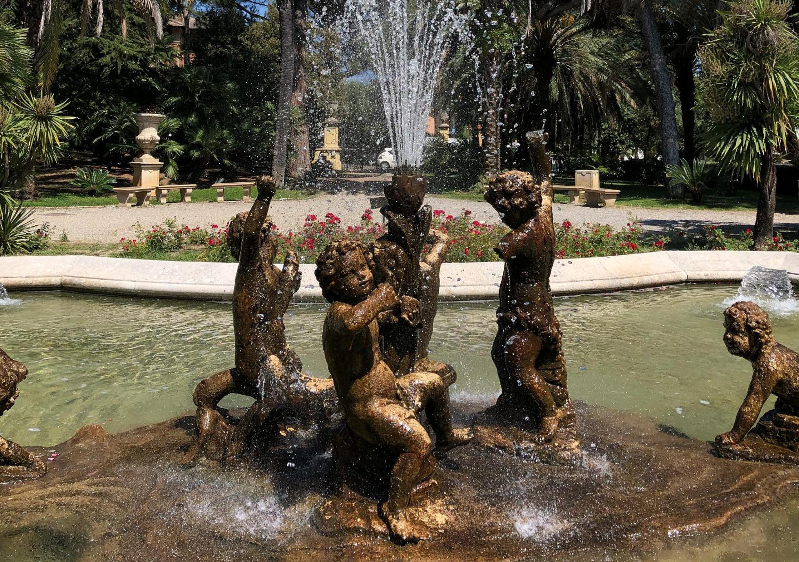 Photo 8