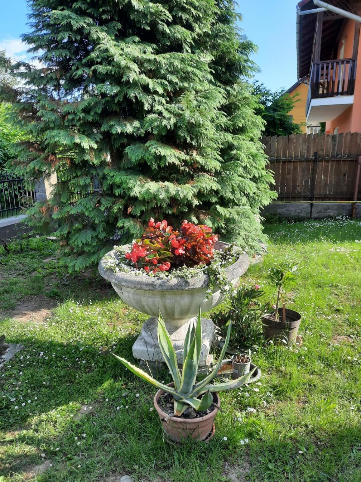 Photo 38