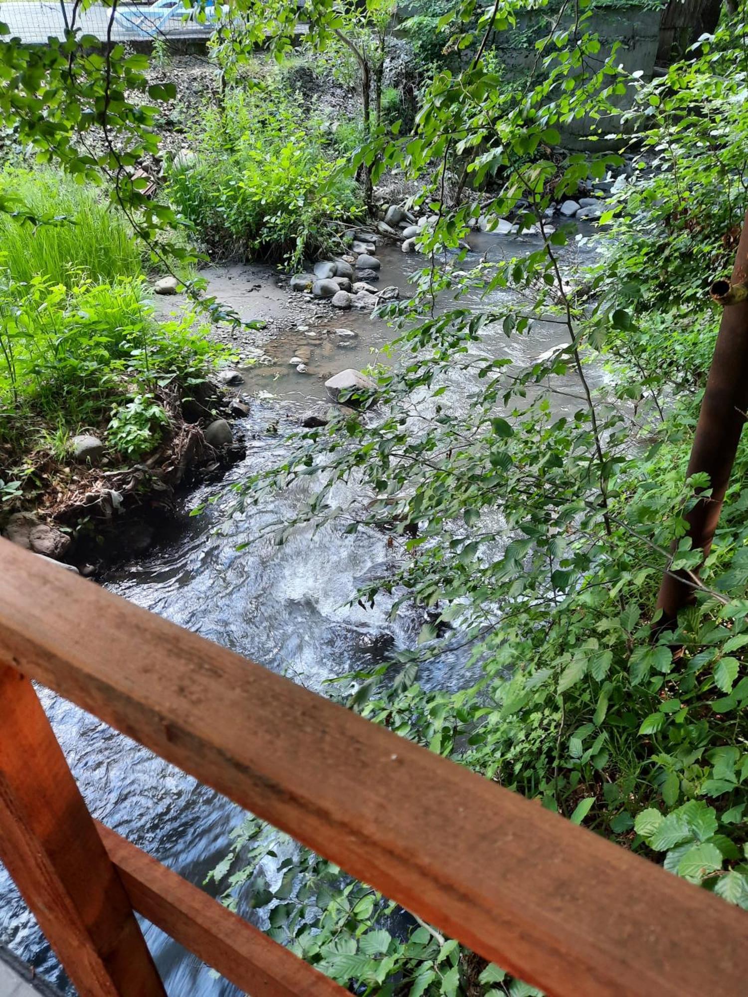 Photo 45