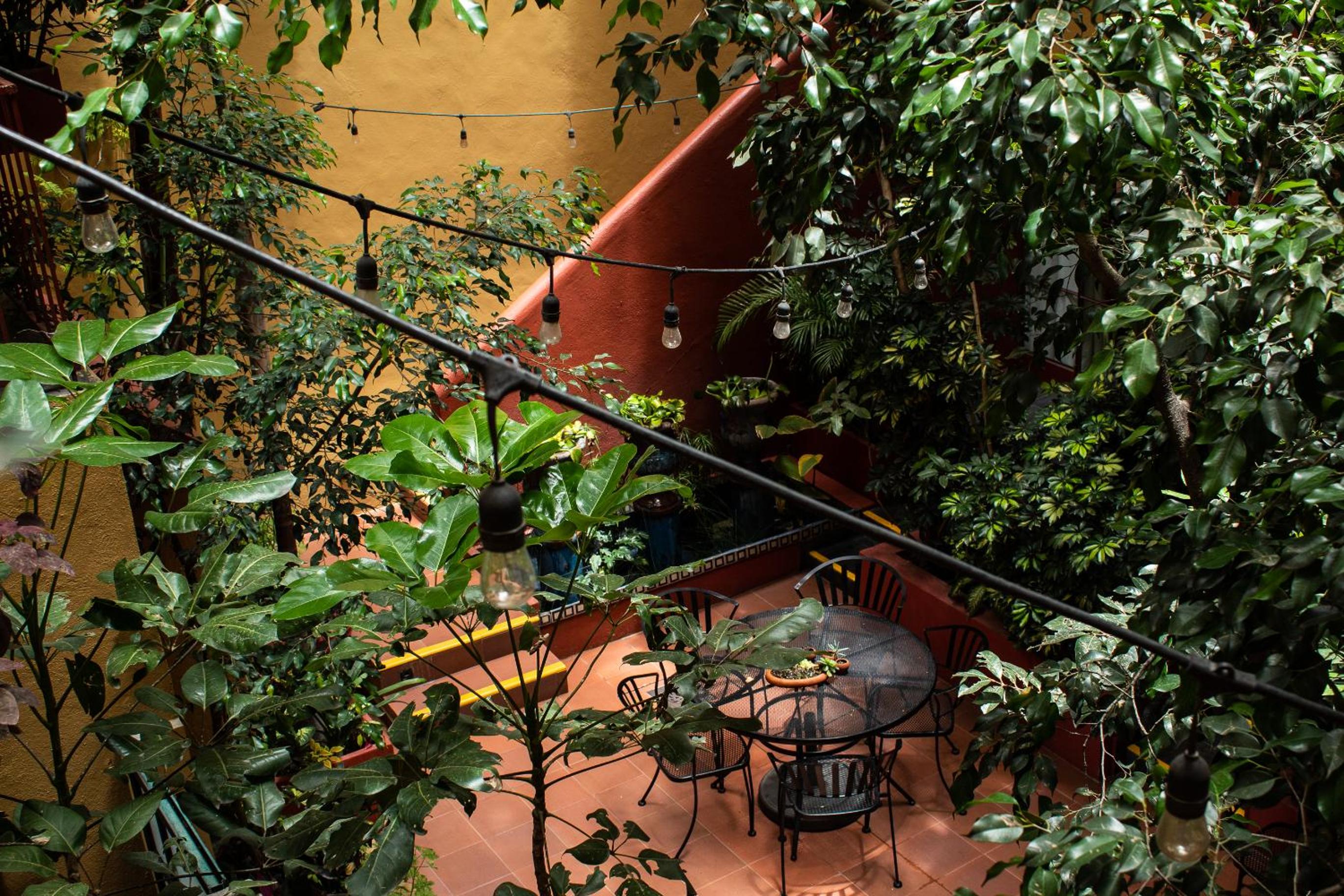 The Red Tree House photo 4