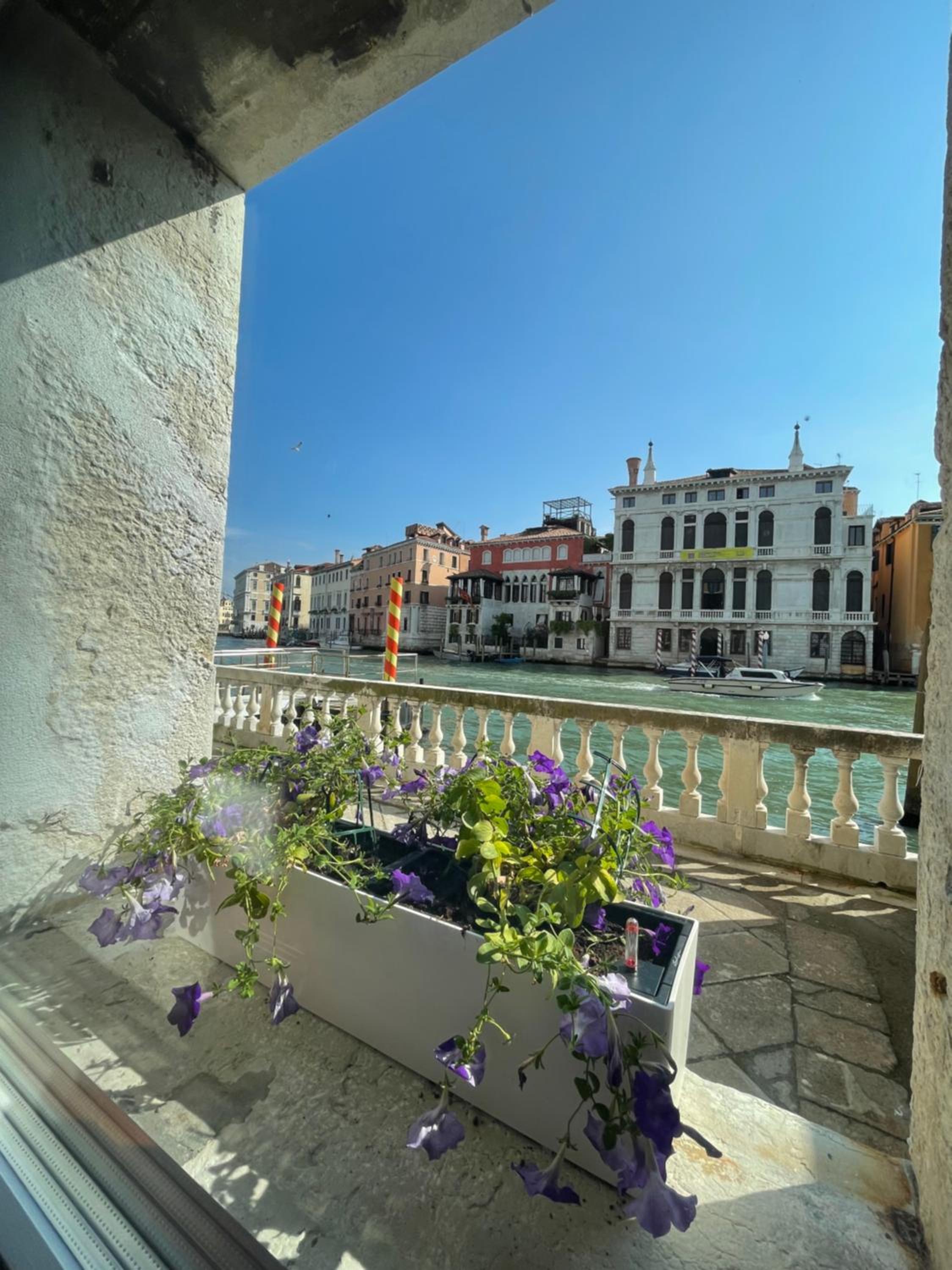 Luxury on the Gran Canal with wonderful view