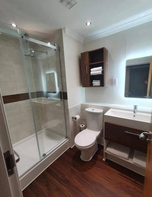 Ultra-Luxury City centre 2 bed apartment, with FREE parking view 4