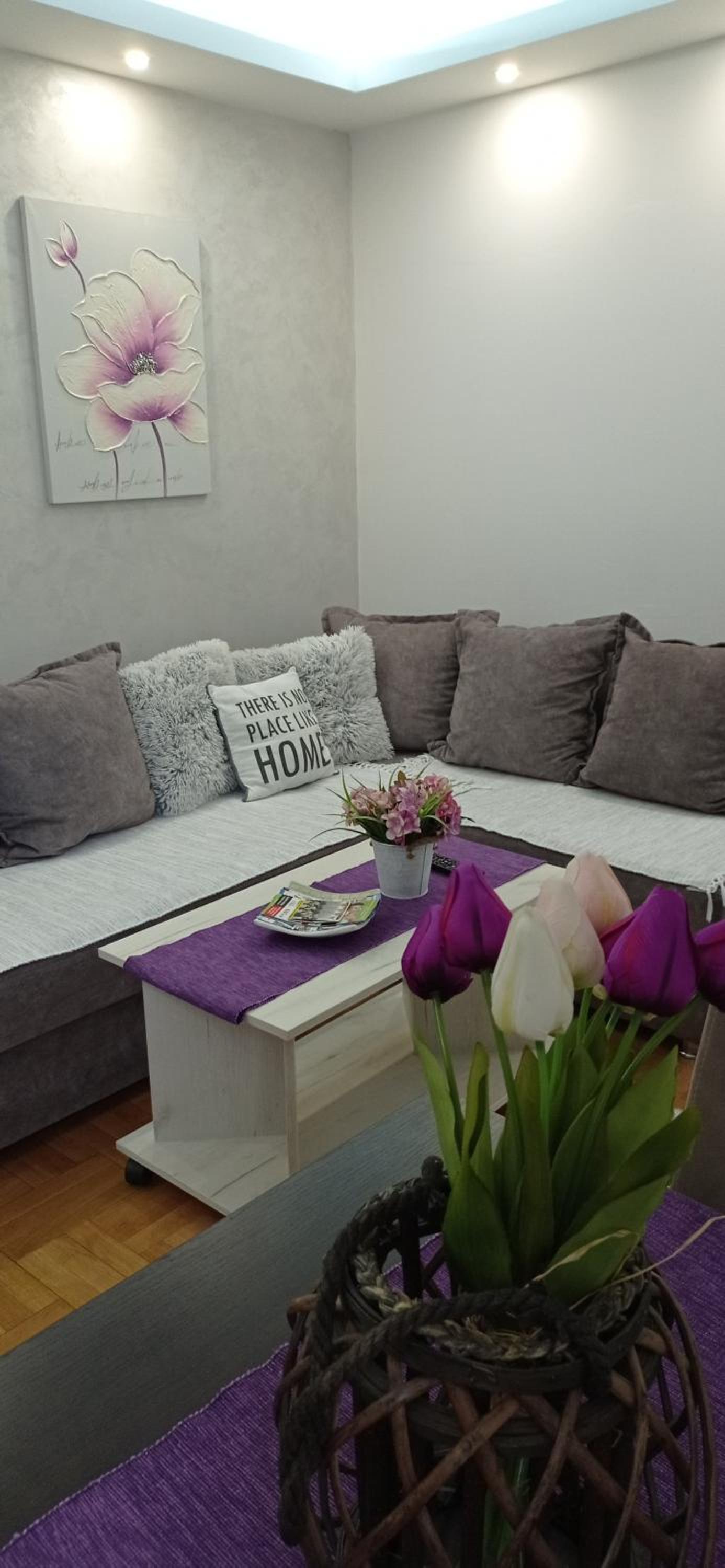Apartman Harmonija Vrnjačka Banja view 5
