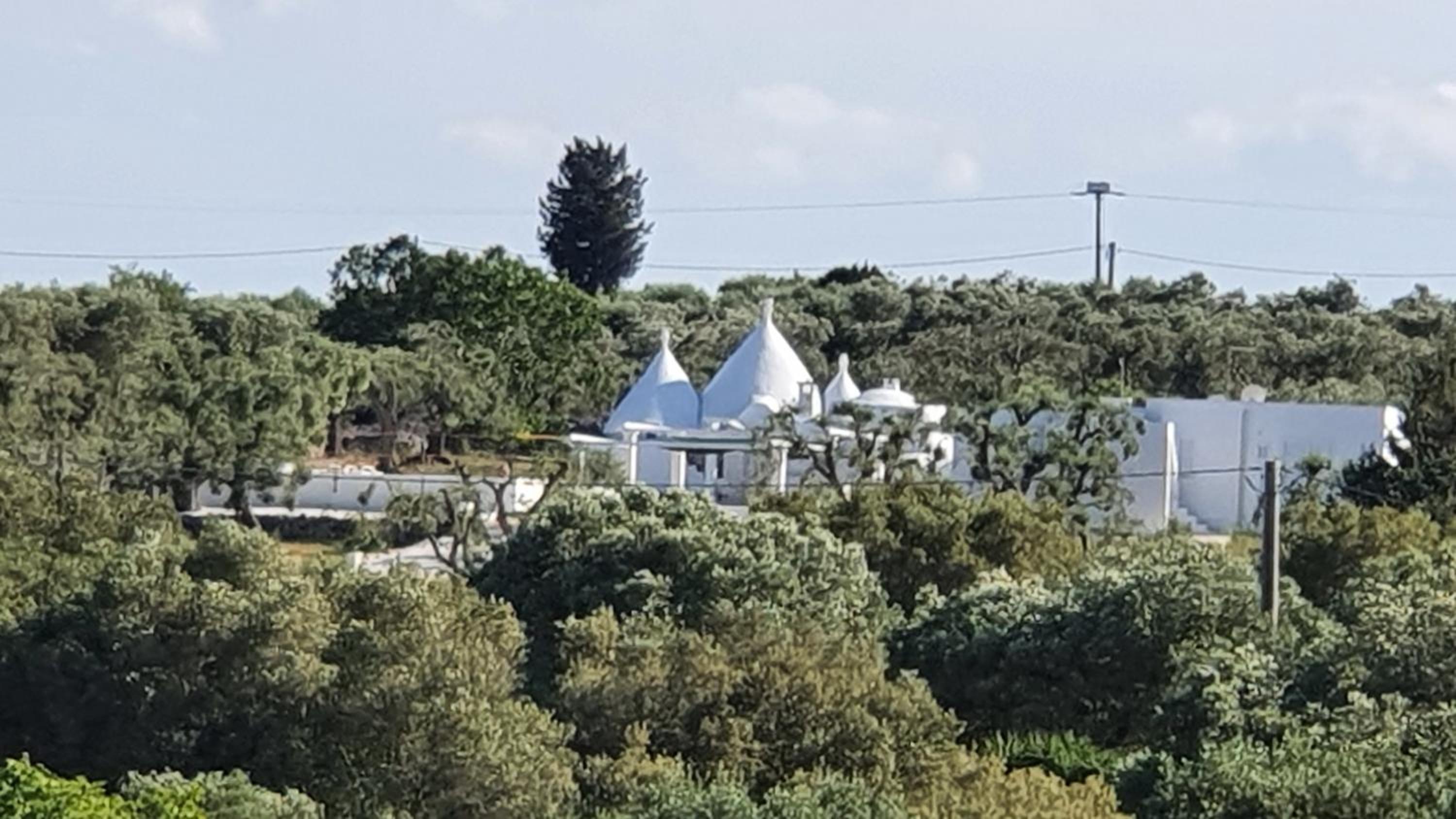 Ostuni, Trullo Laveneziana per 8 ospiti intera struttura con piscina esclusiva