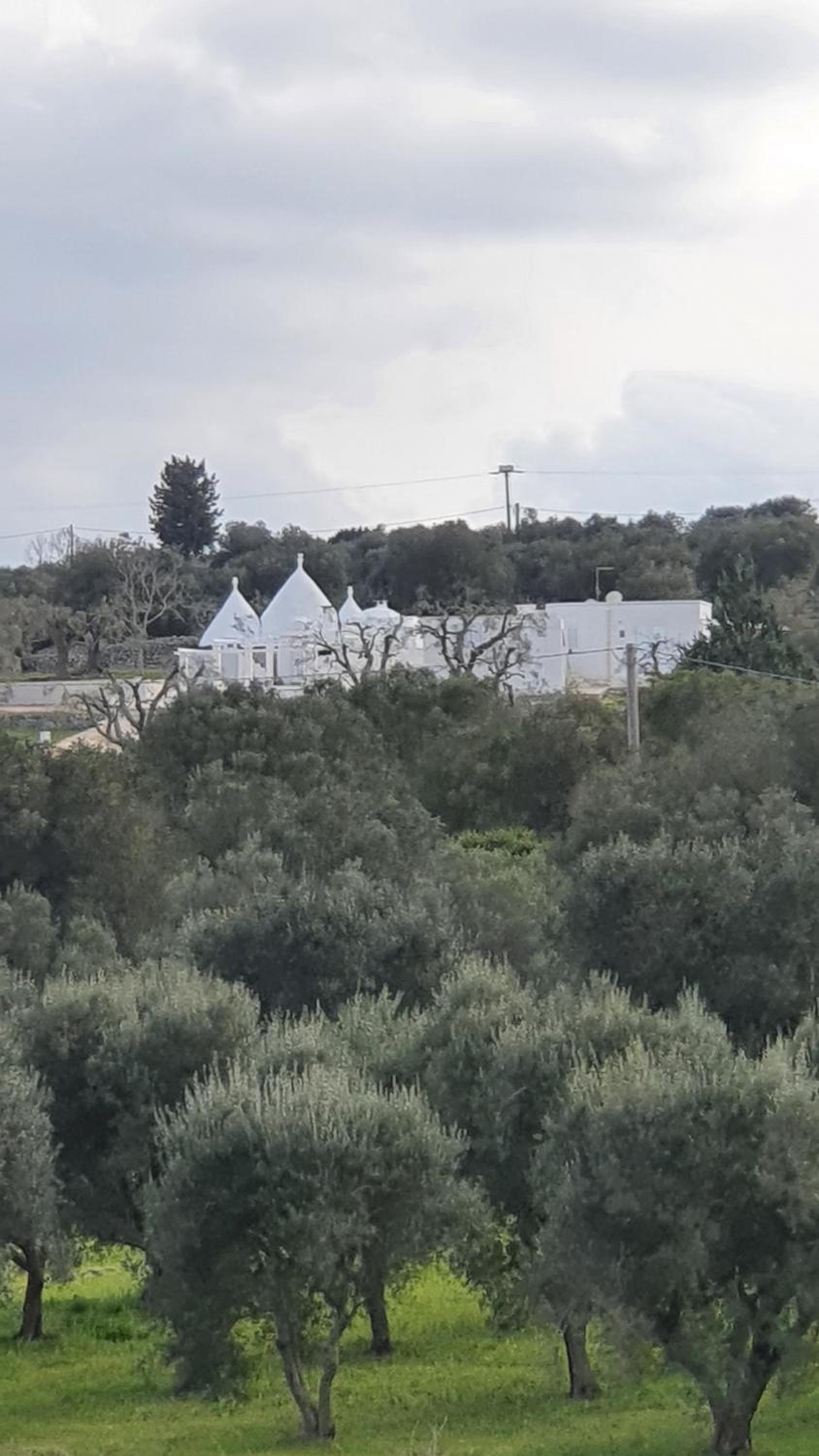 Ostuni, Trullo Laveneziana per 8 ospiti intera struttura con piscina esclusiva