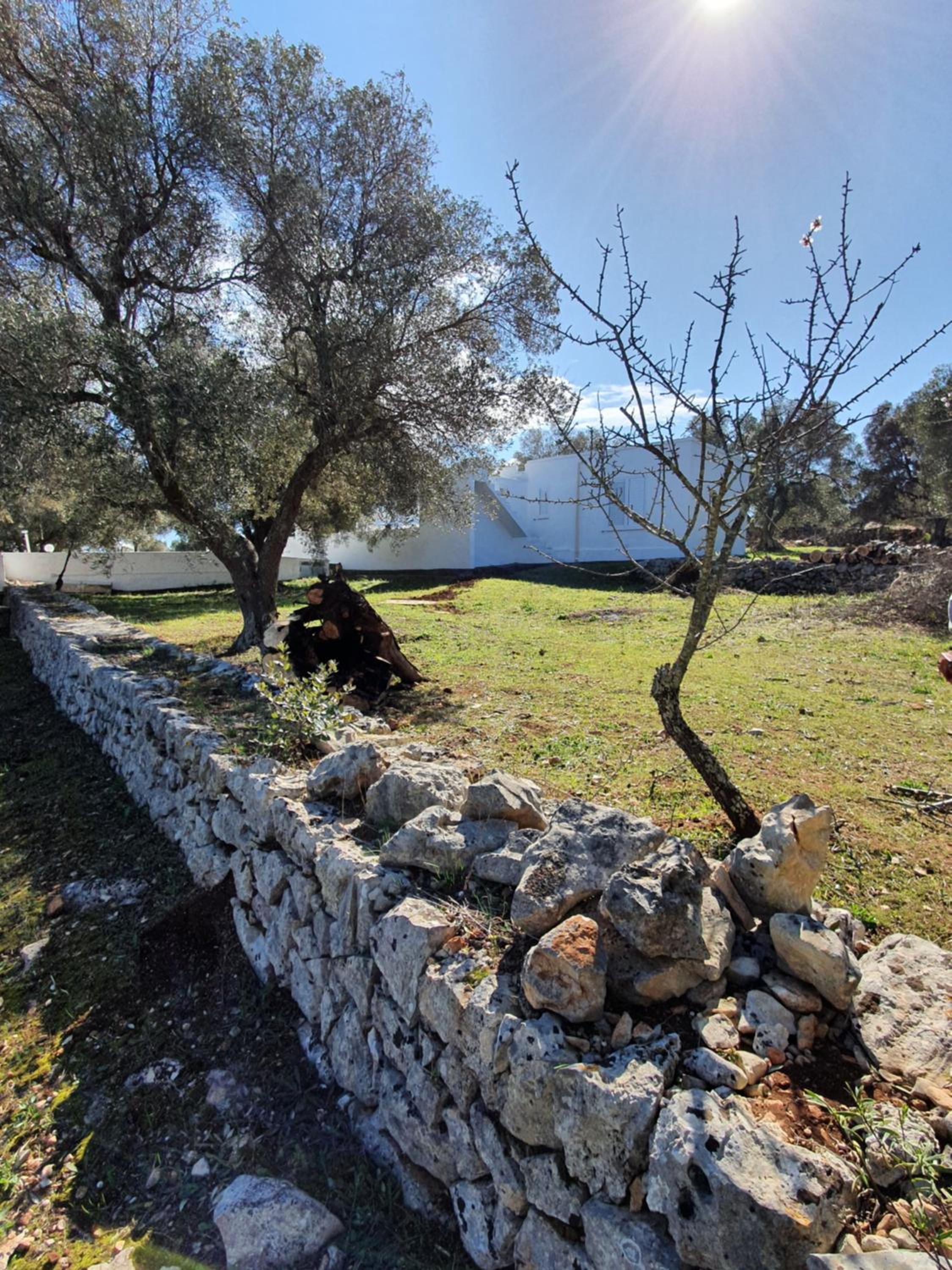 Ostuni, Trullo Laveneziana per 8 ospiti intera struttura con piscina esclusiva