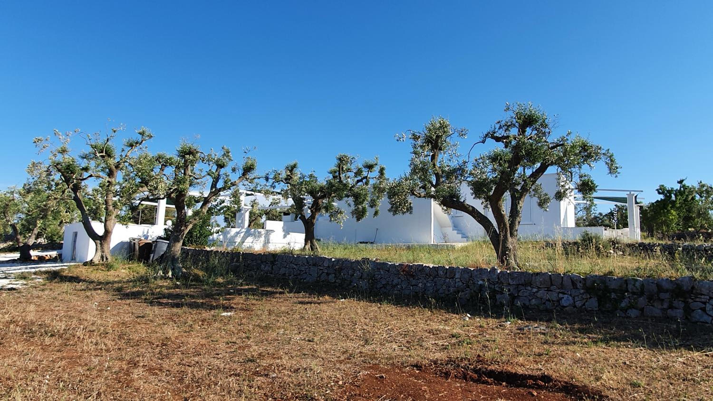 Ostuni, Trullo Laveneziana per 8 ospiti intera struttura con piscina esclusiva