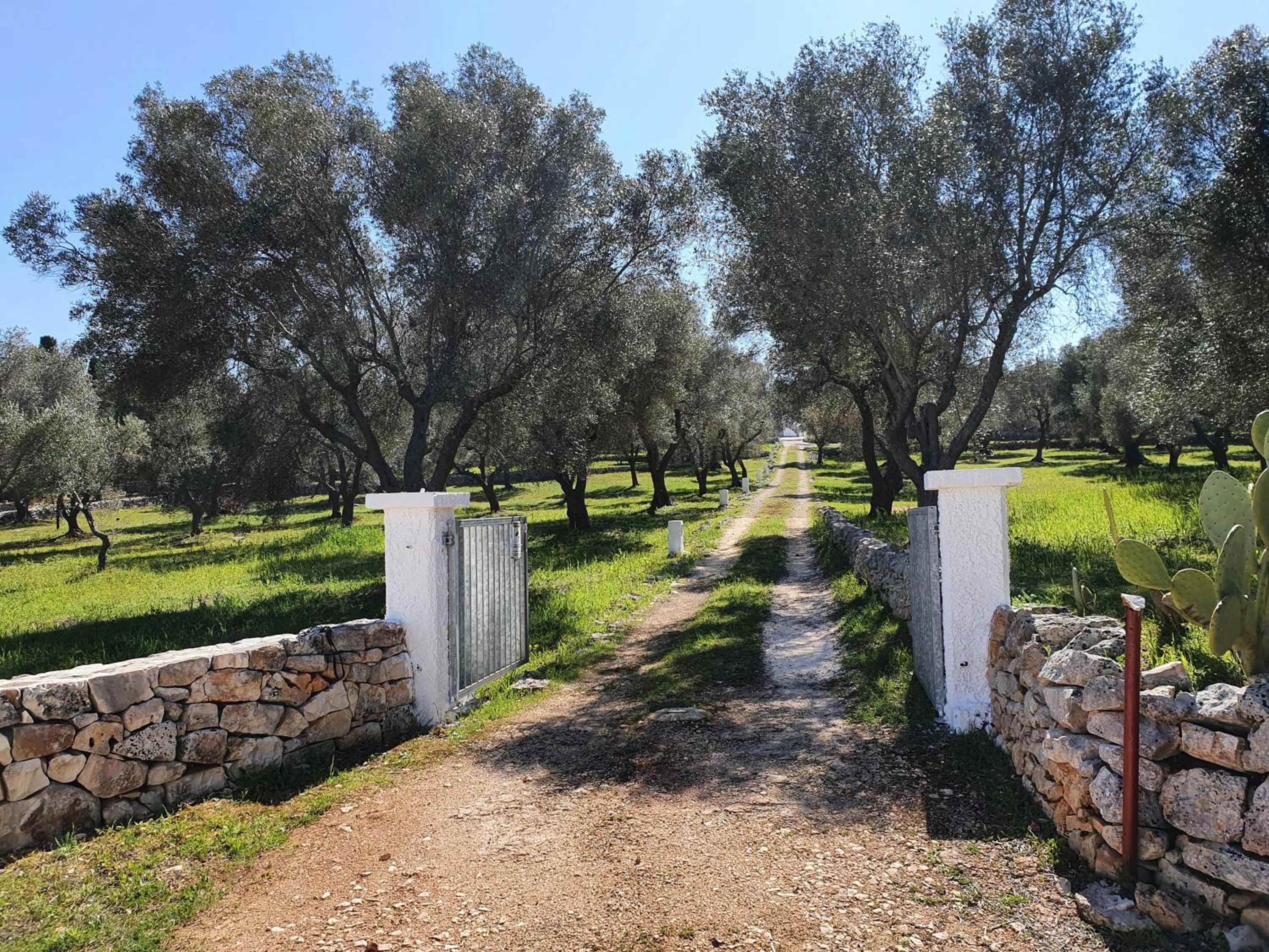 Ostuni, Trullo Laveneziana per 8 ospiti intera struttura con piscina esclusiva