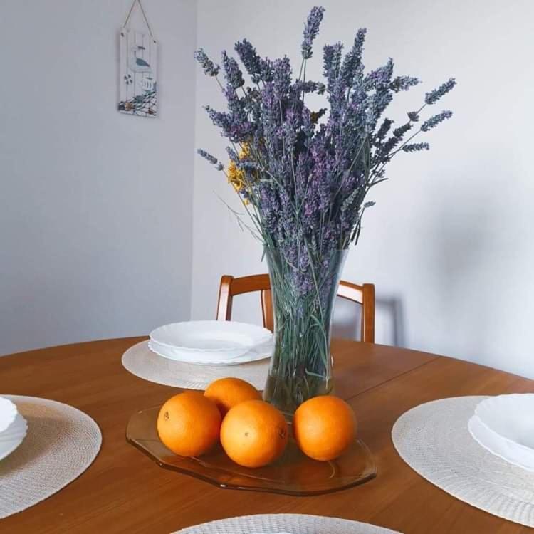Istrian house Mojca view 4