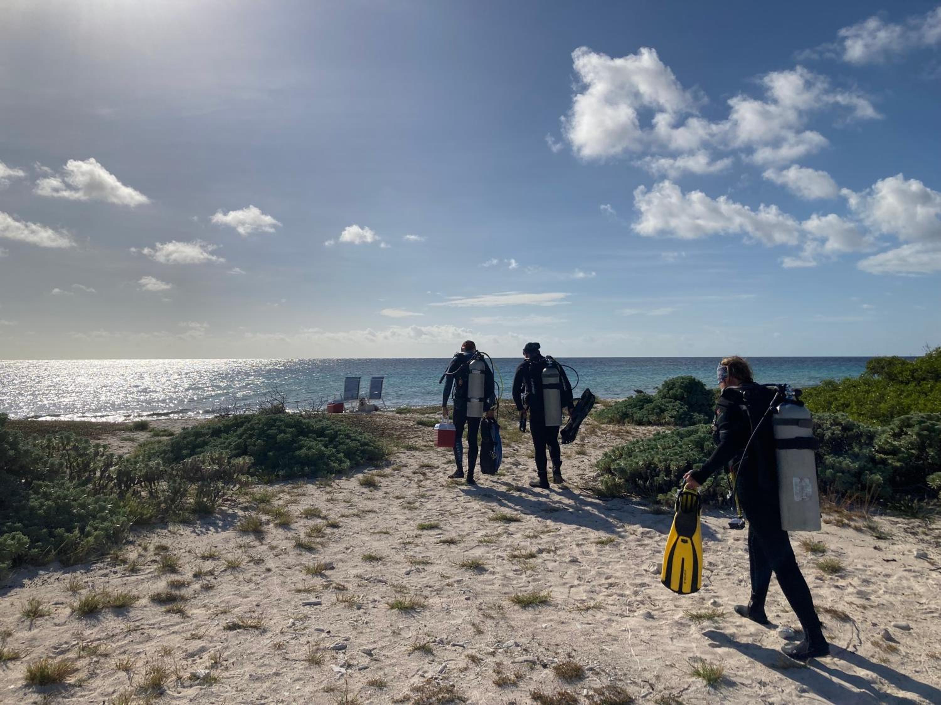 Hakuna Matata Bonaire - Beach & Diving
