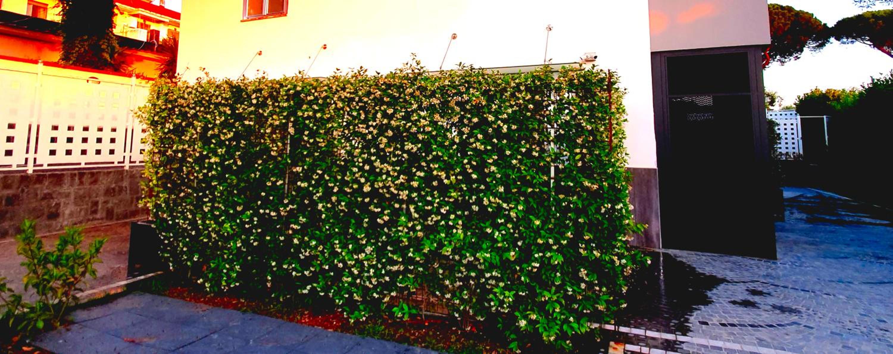 Hotel Ercolano Luxury Suite - Image 1