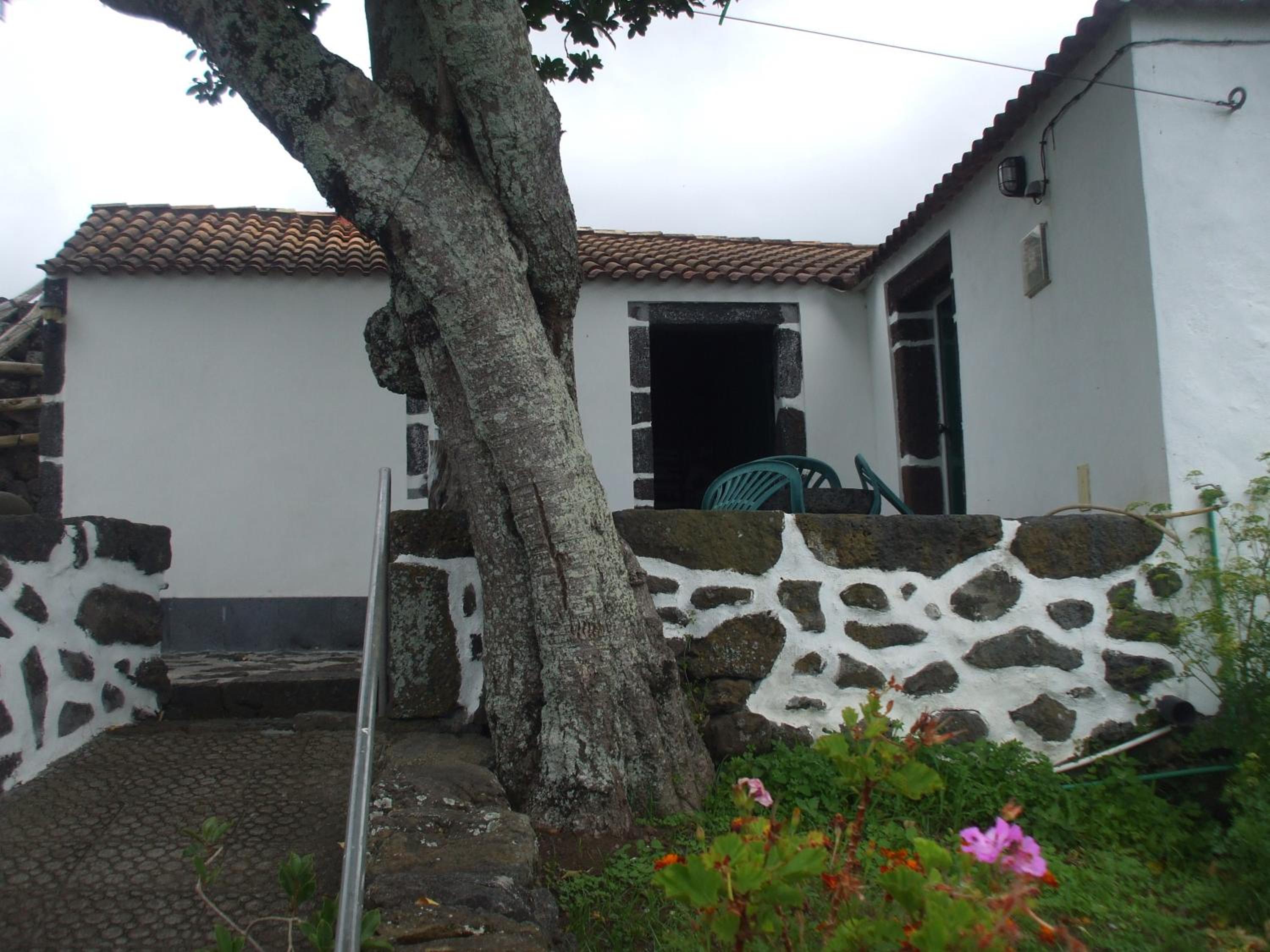 Adega do Batista