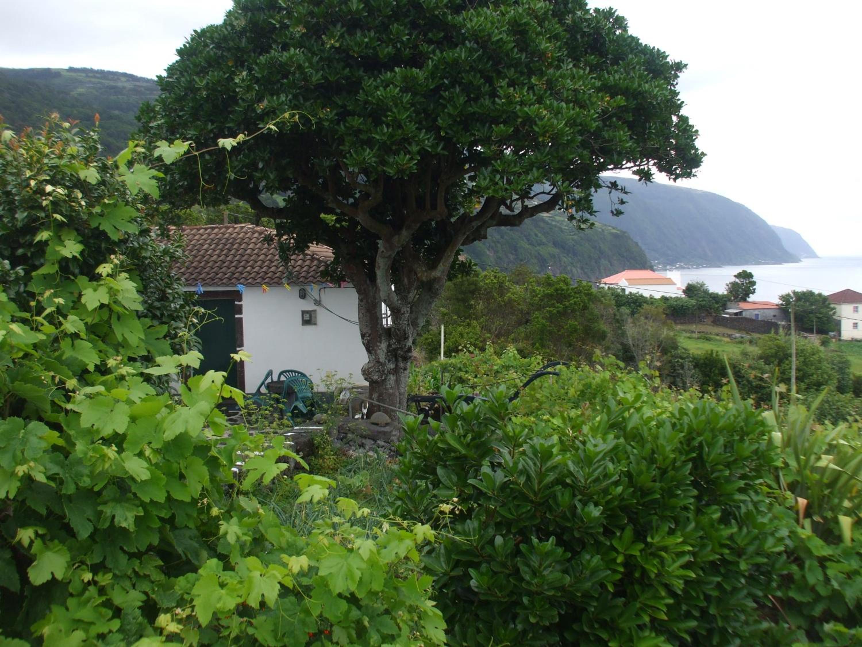 Adega do Batista