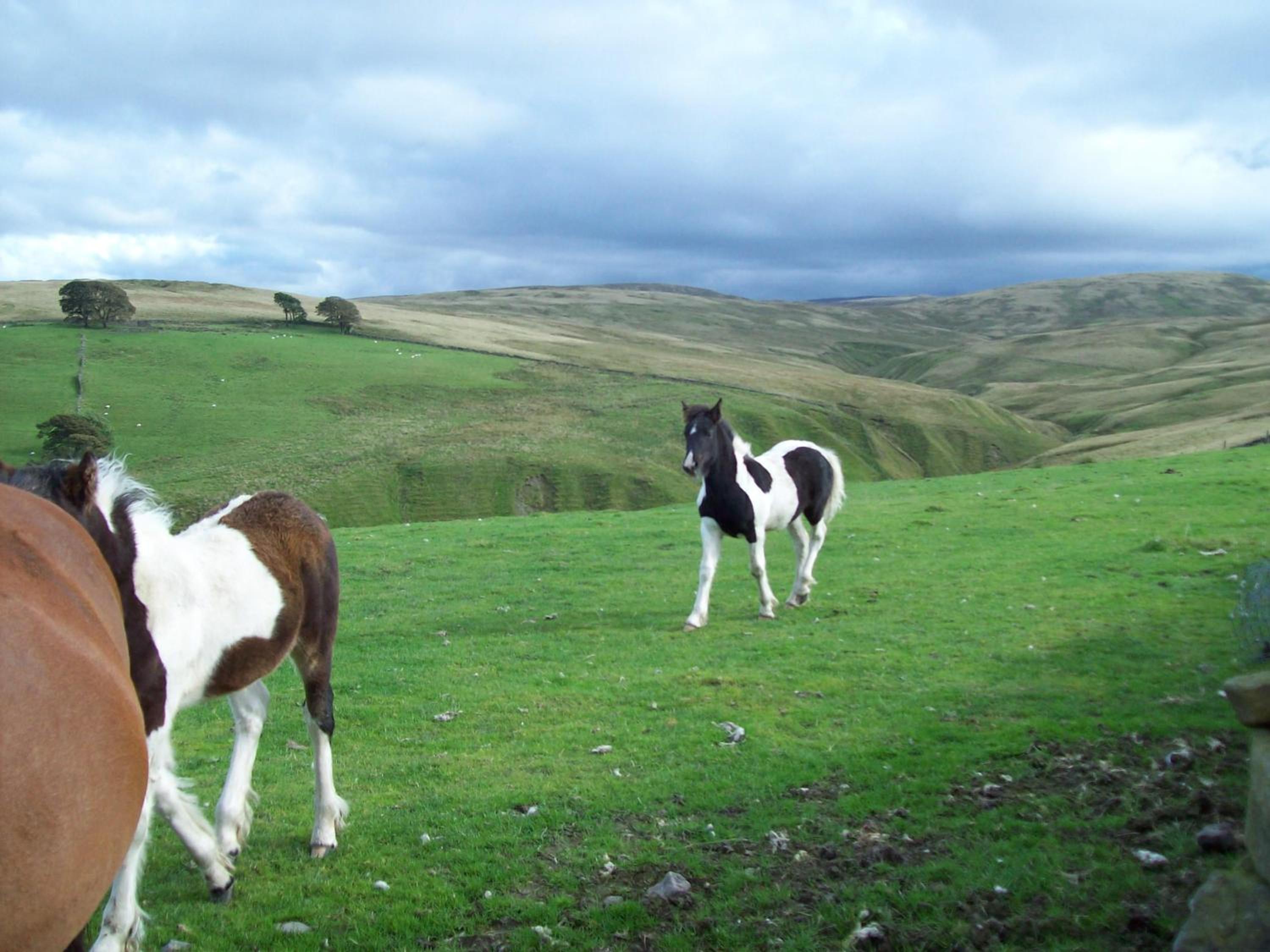 The Old School B&B view 5