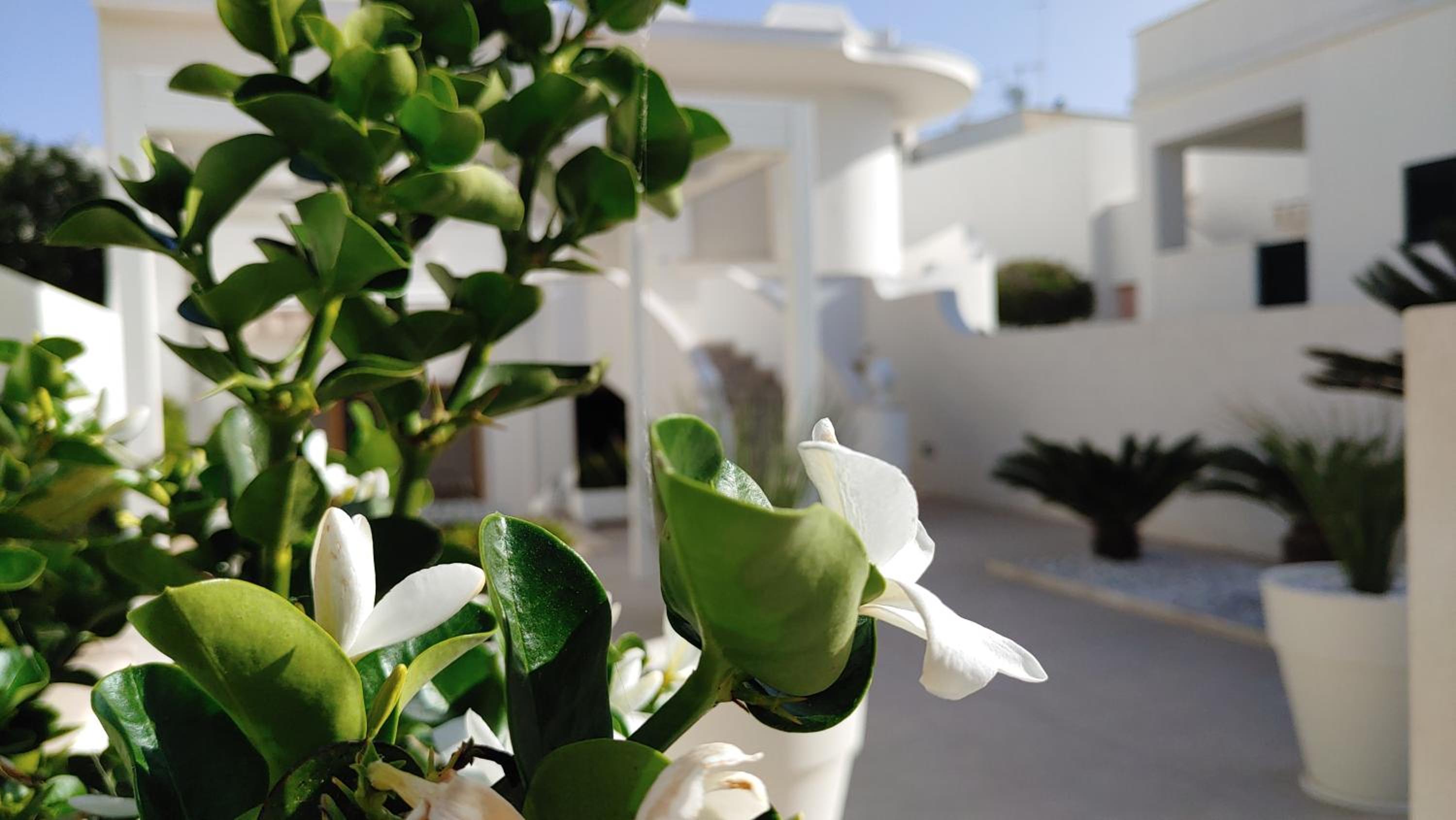 Casa Mirella view 5