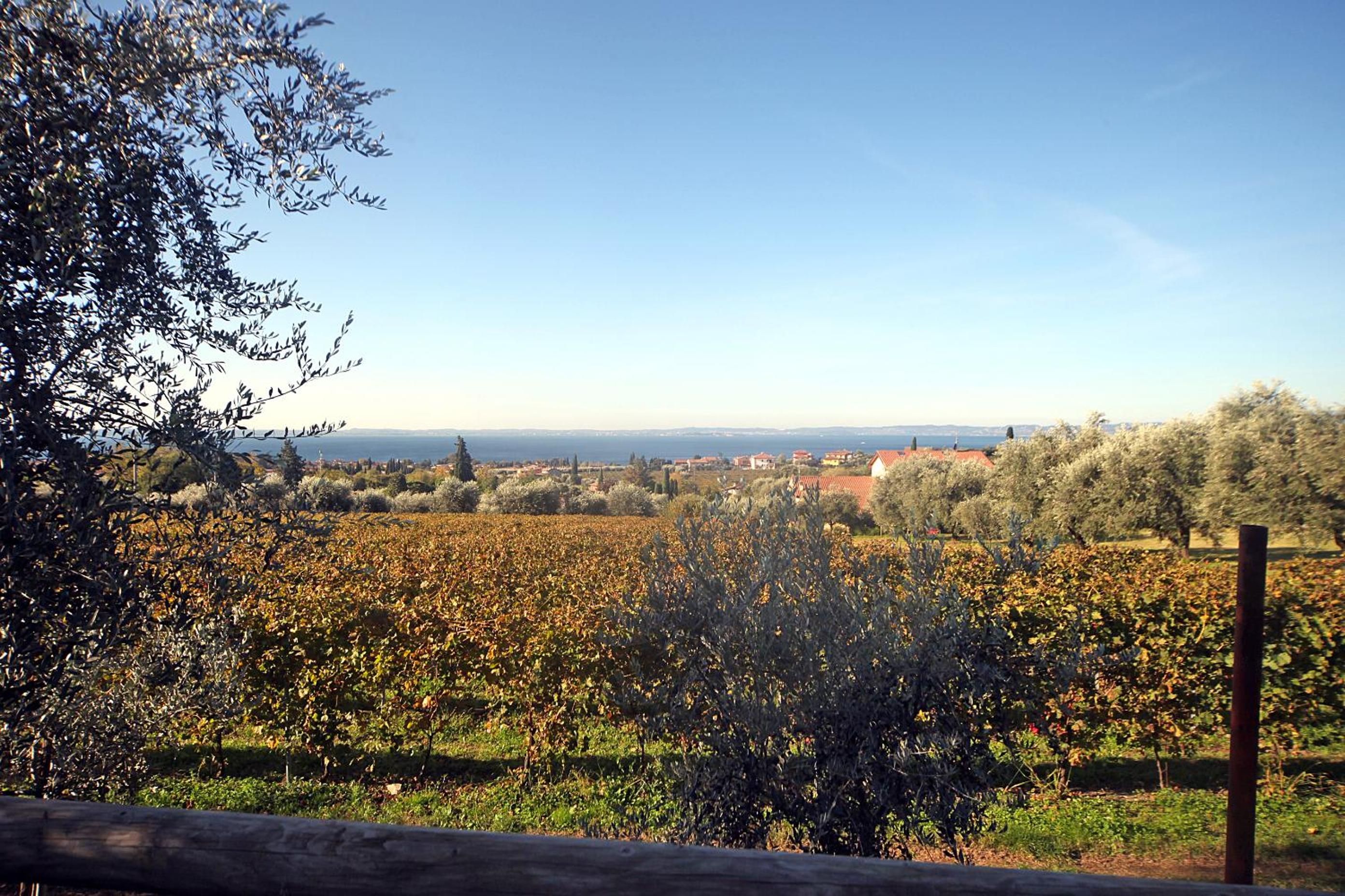 Appartamenti Bellavista